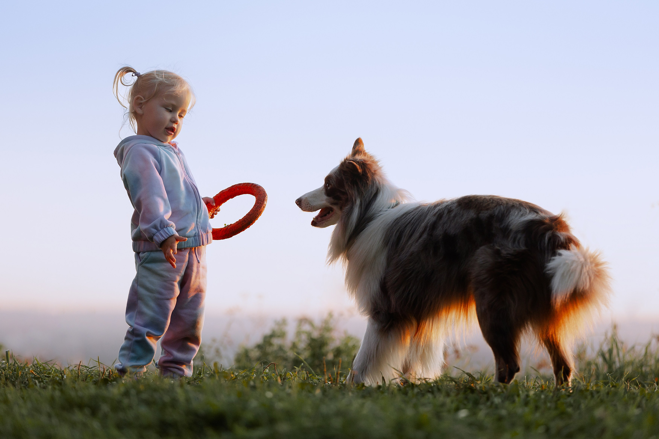 Екатерина Справцева фотограф анималист - портфолио фото. Фотограф Анималист Екатерина Справцева в Нижнем Новгороде