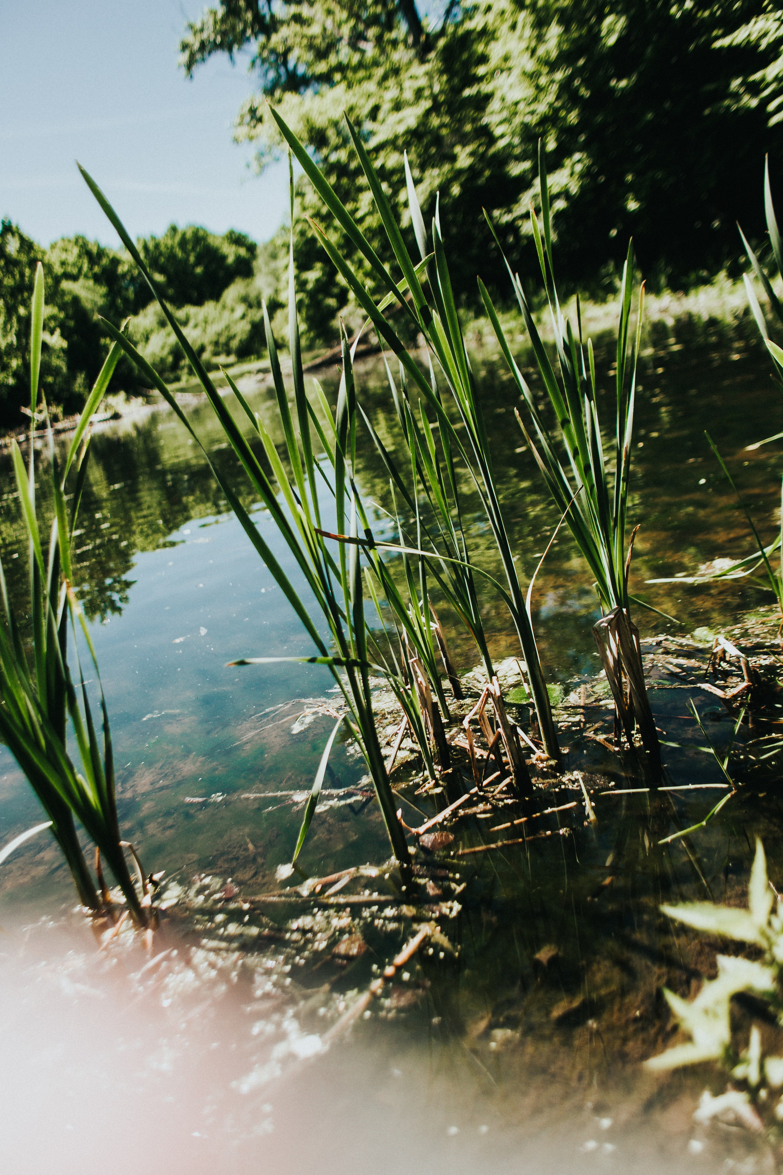 Три девицы…. Фотограф в Нижнем Новгороде