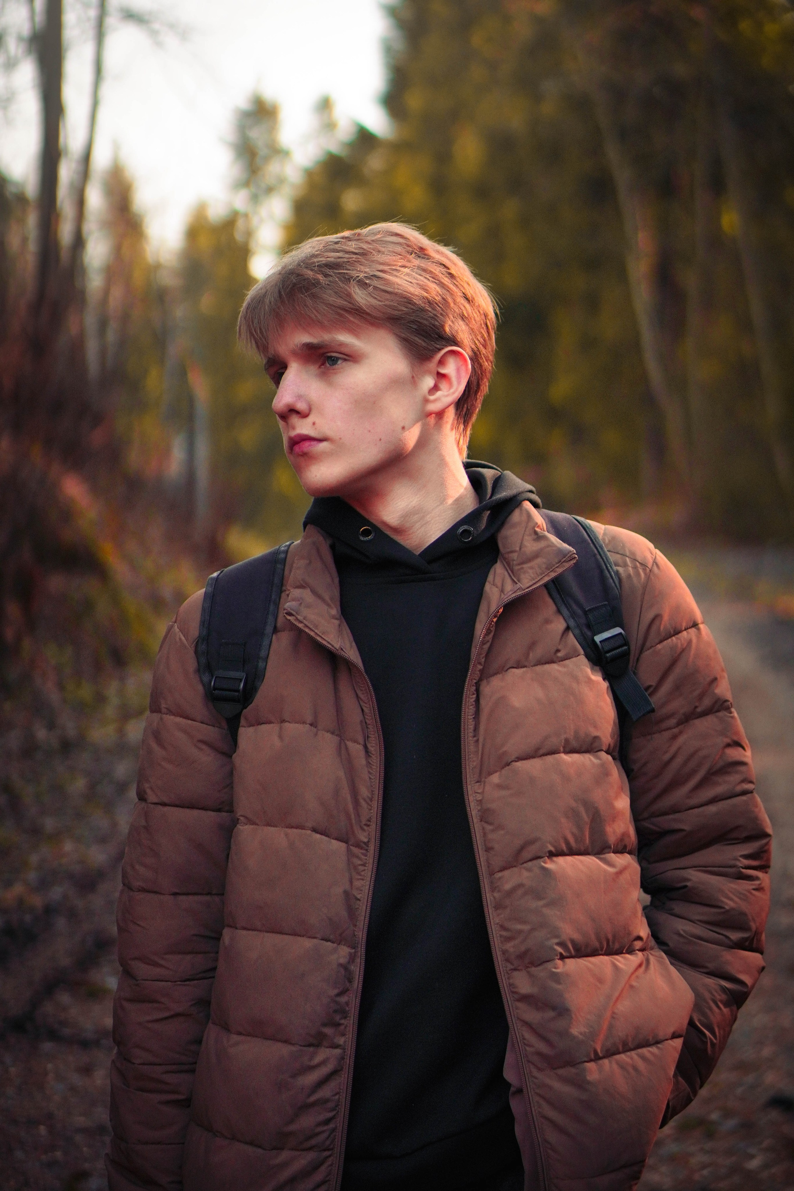 Лев. Видео и Фото