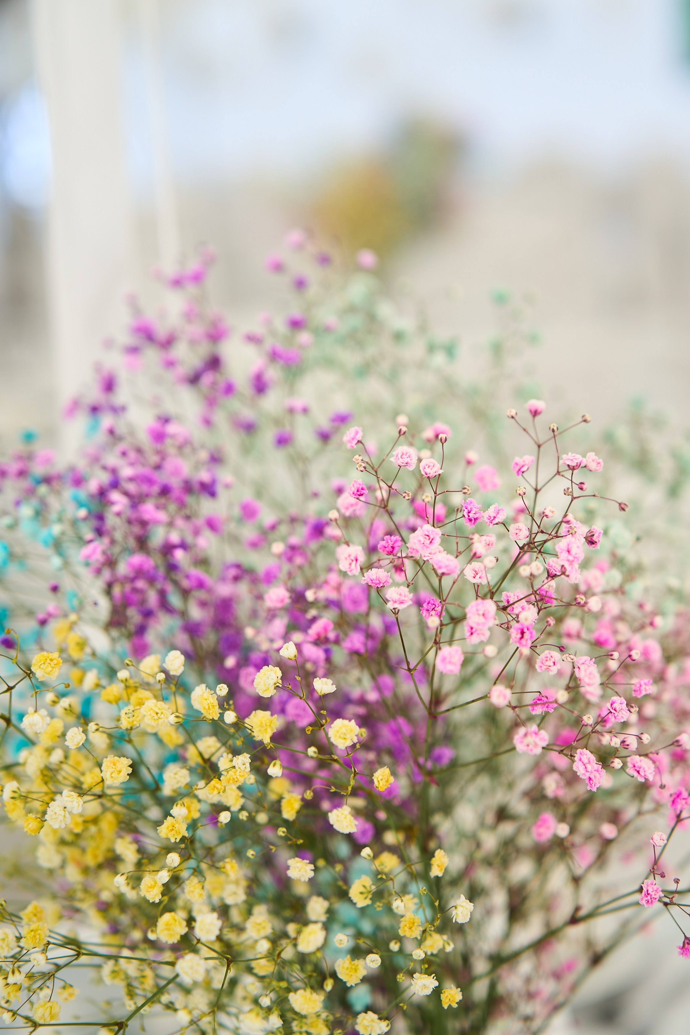 организация выпускного, организация выпускного москва, организация выпускного под ключ, организация выпускных 11 класс под ключ,	организация выпускного 11 класс под ключ москва,