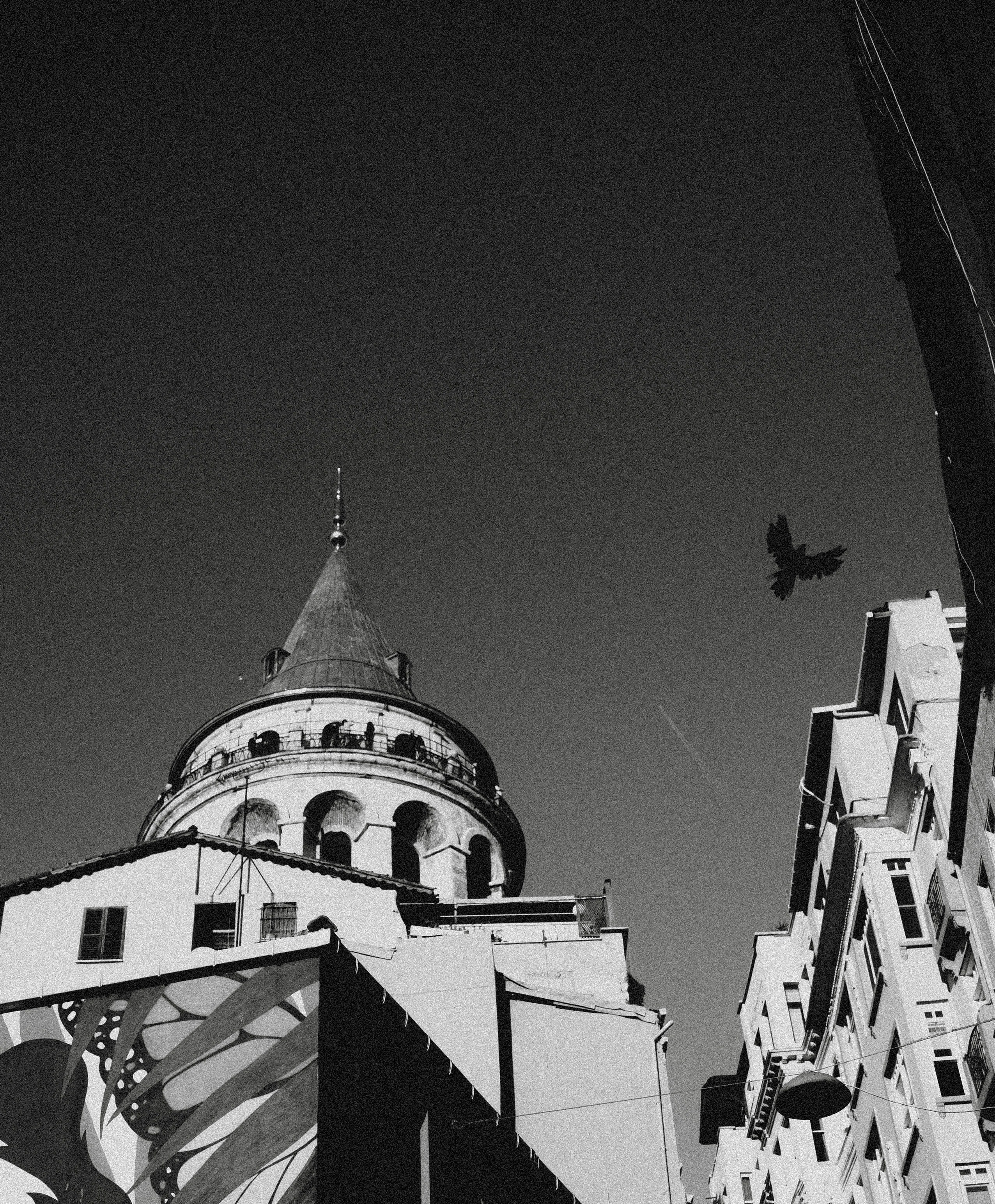 СТАМБУЛ. Стрит-фотография, полная абсурда, идиотизма и красоты