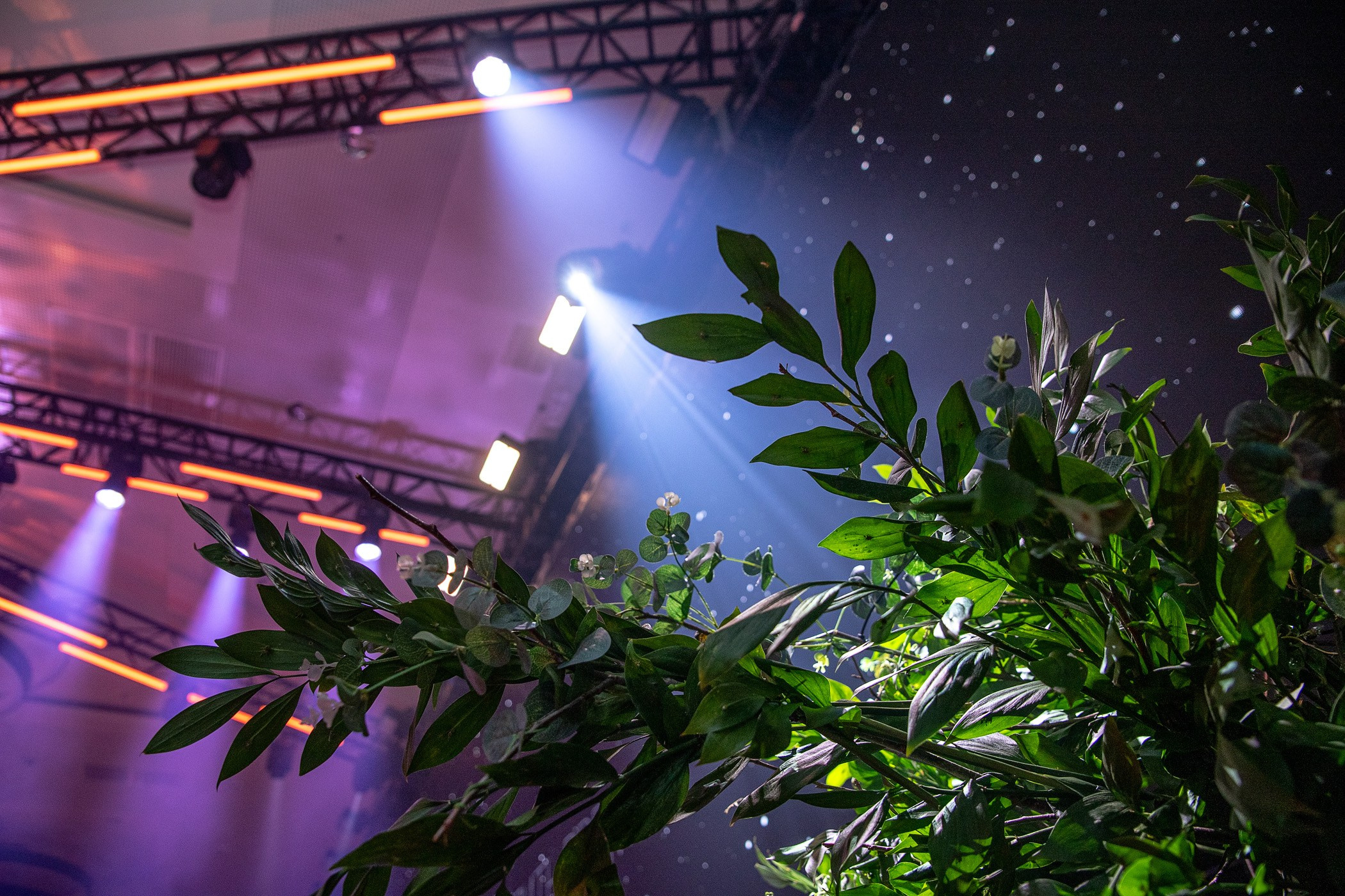 Репортажная съёмка. Интерьерный и фуд фотограф в Сочи Дмитрий Арно