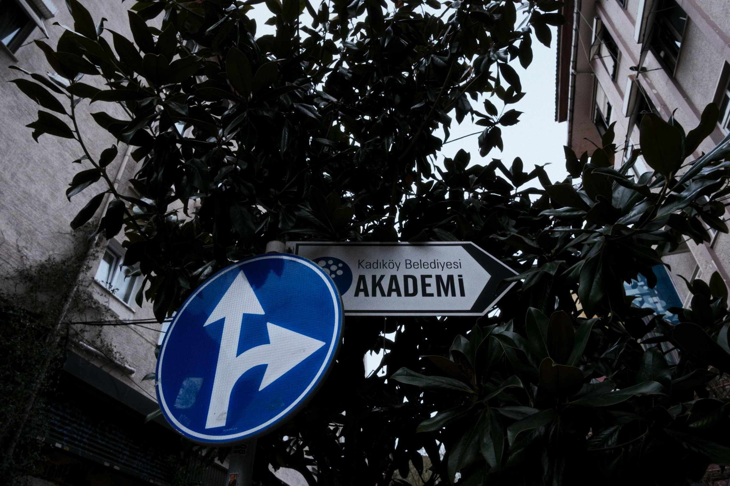 Kadikoy x Moda, Istanbul / Türkey AW26. Фотограф Юрин Евгений