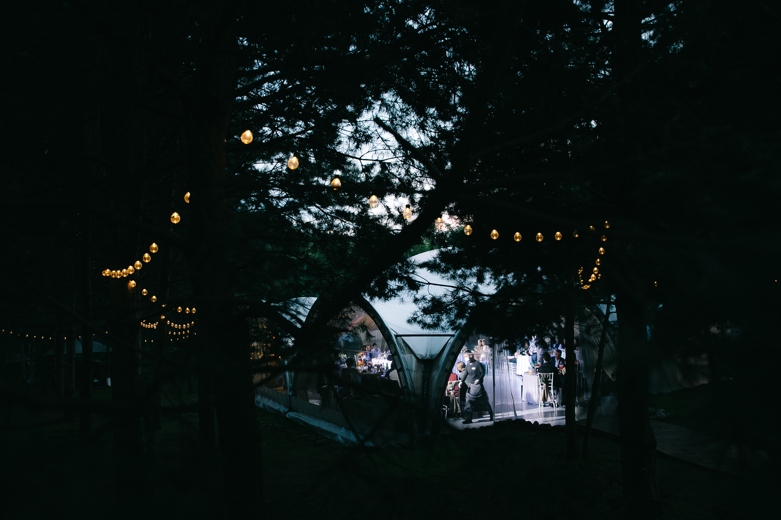 Свадебный фотограф москва. Свадебный фотограф Москва Саша Серегина (Сашина)