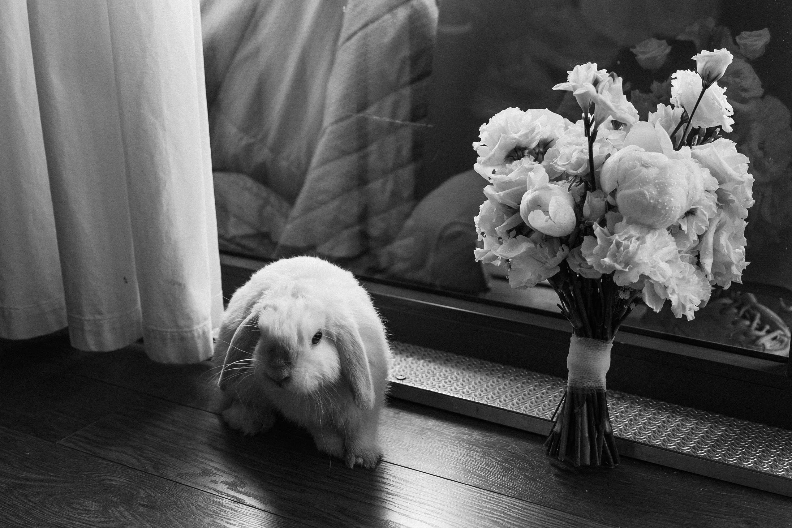 Тимофей и Марина. Свадебный фотограф Полина Панина