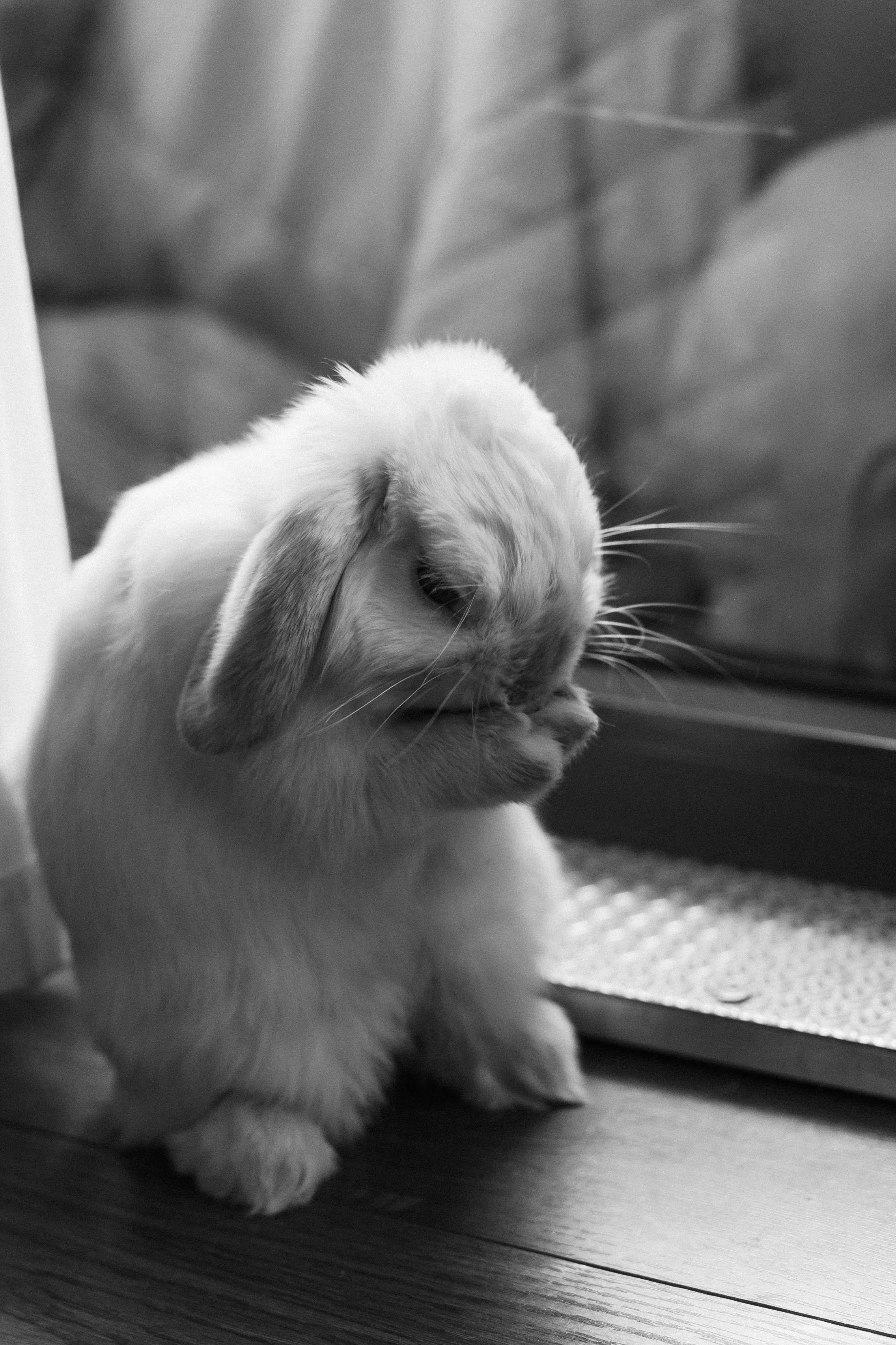 Тимофей и Марина. Свадебный фотограф Полина Панина