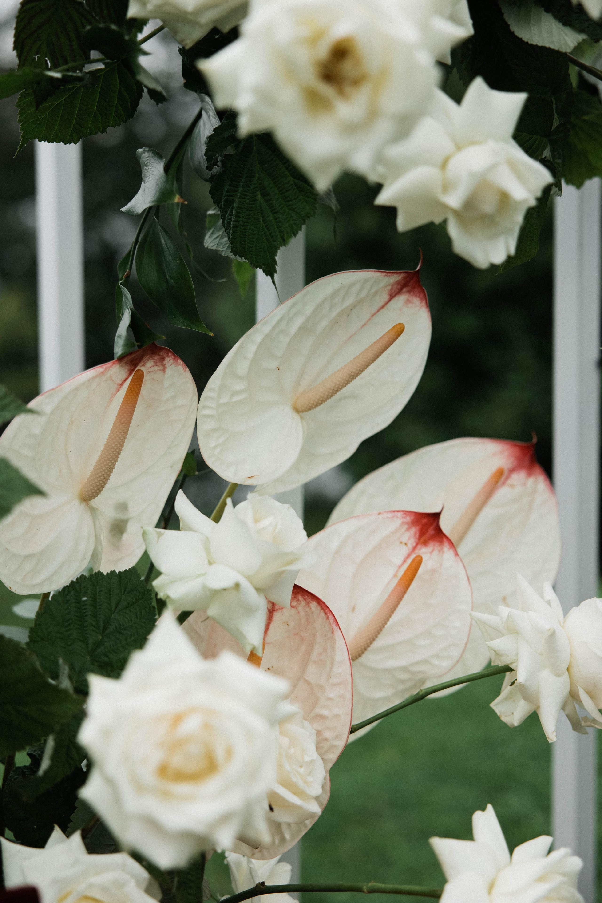 Максим и Валерия. Свадебный фотограф Полина Панина