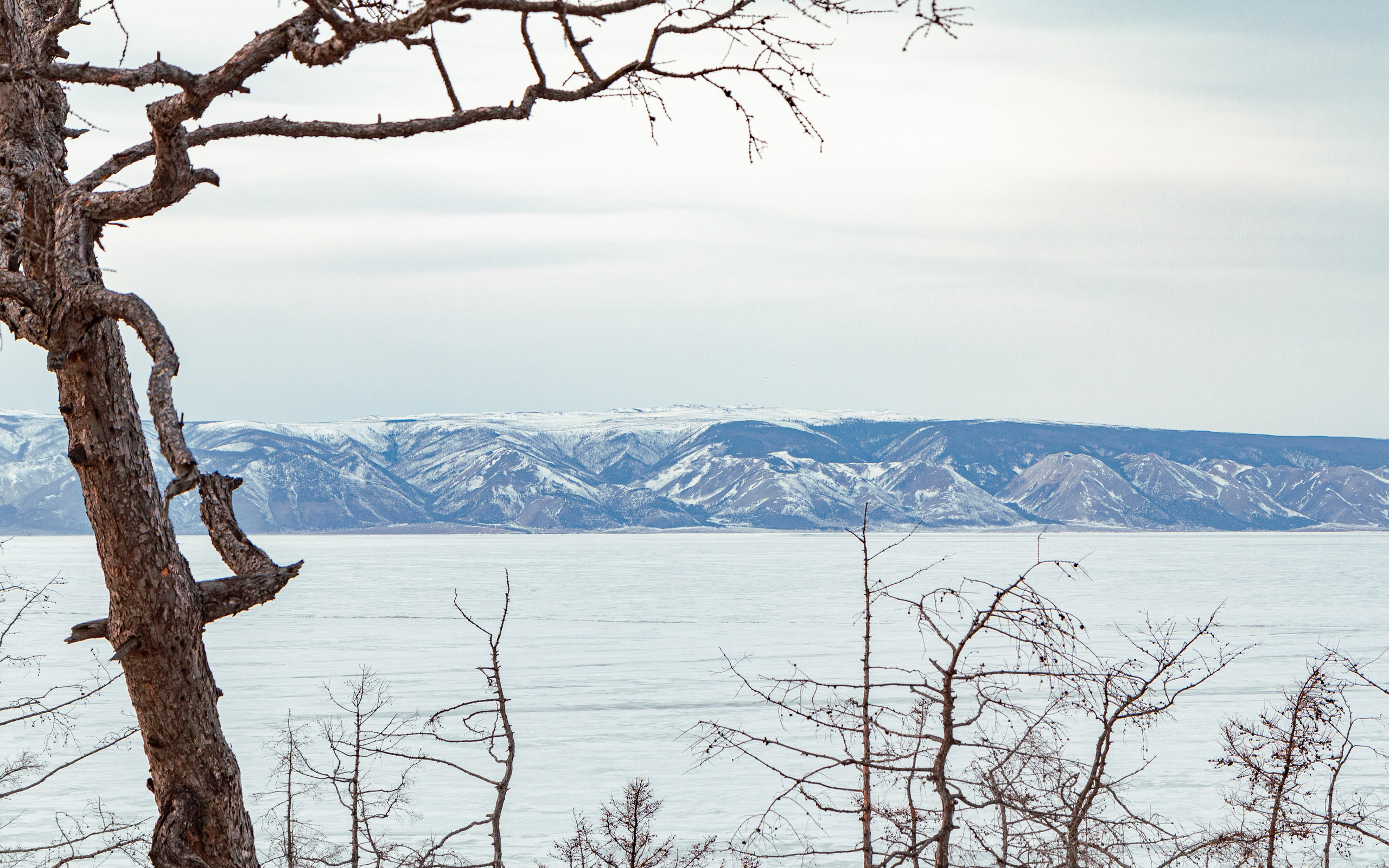Байкал, зима 2023. Предметный и репортажный фотограф Алексей Кротов