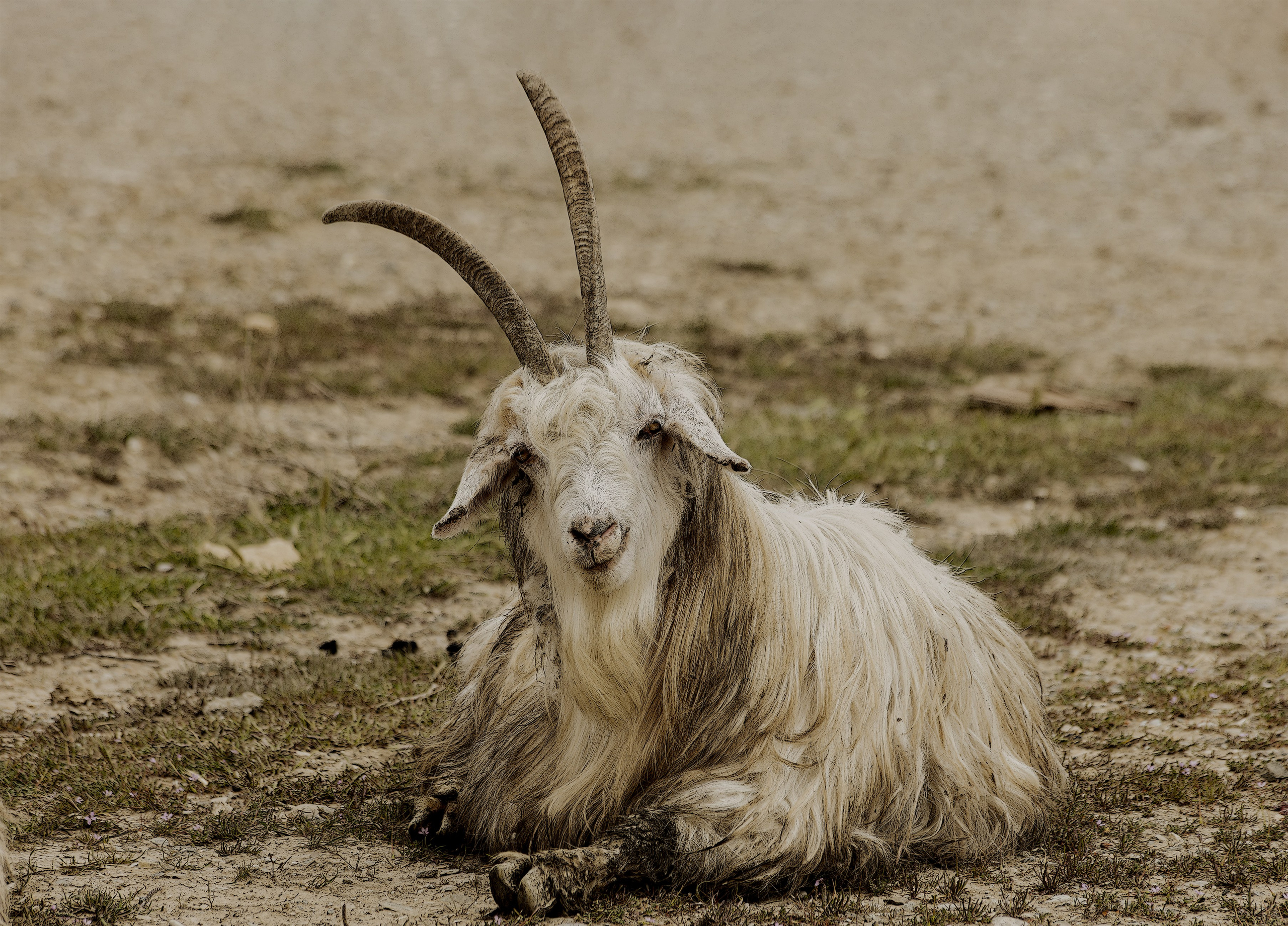 Unforgettable Caucasus (in progress). Art Рhotographer Russia/Moscow