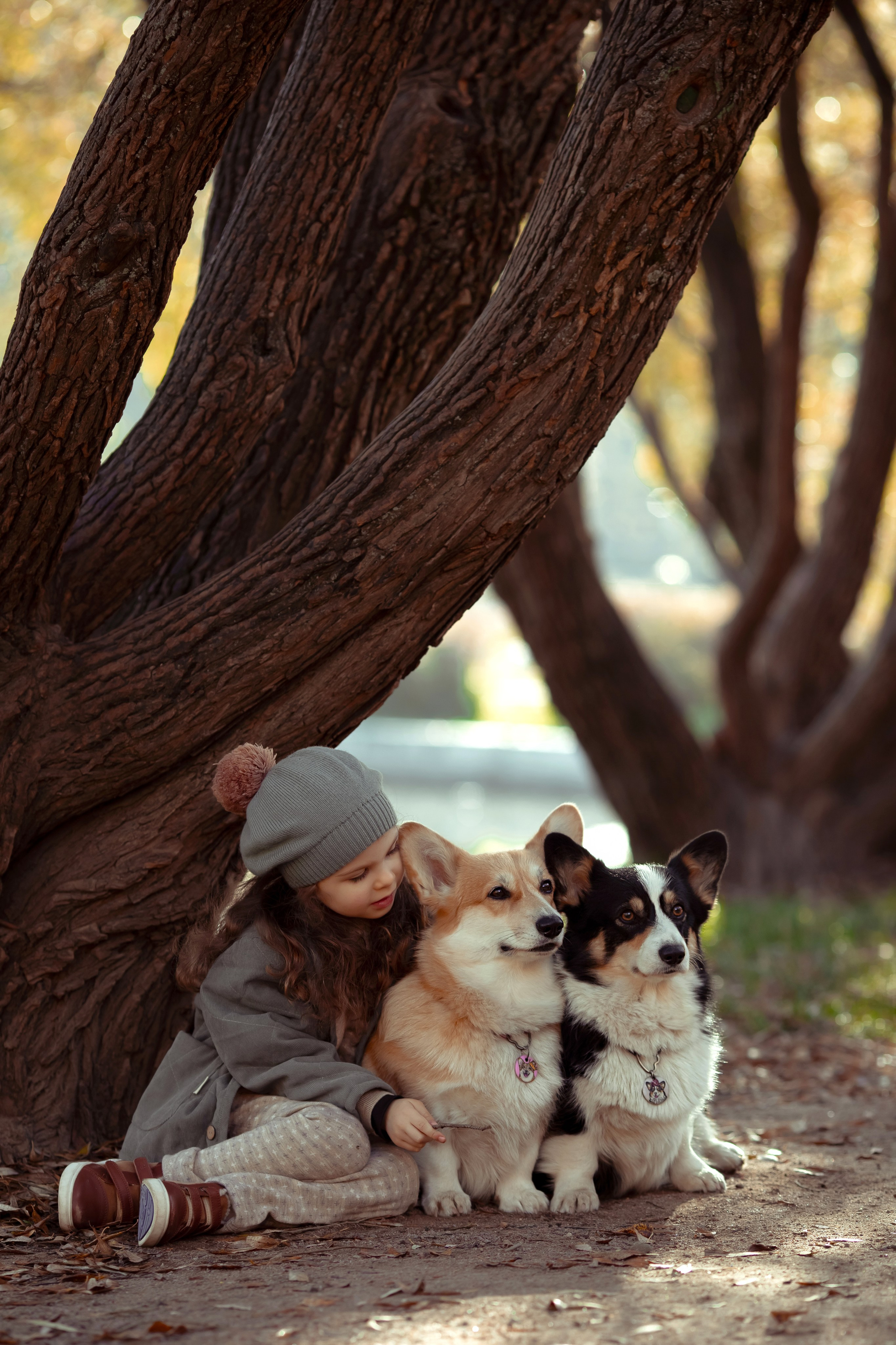Эва с корги. Семейный и детский фотограф в Москве Дорогова Екатерина