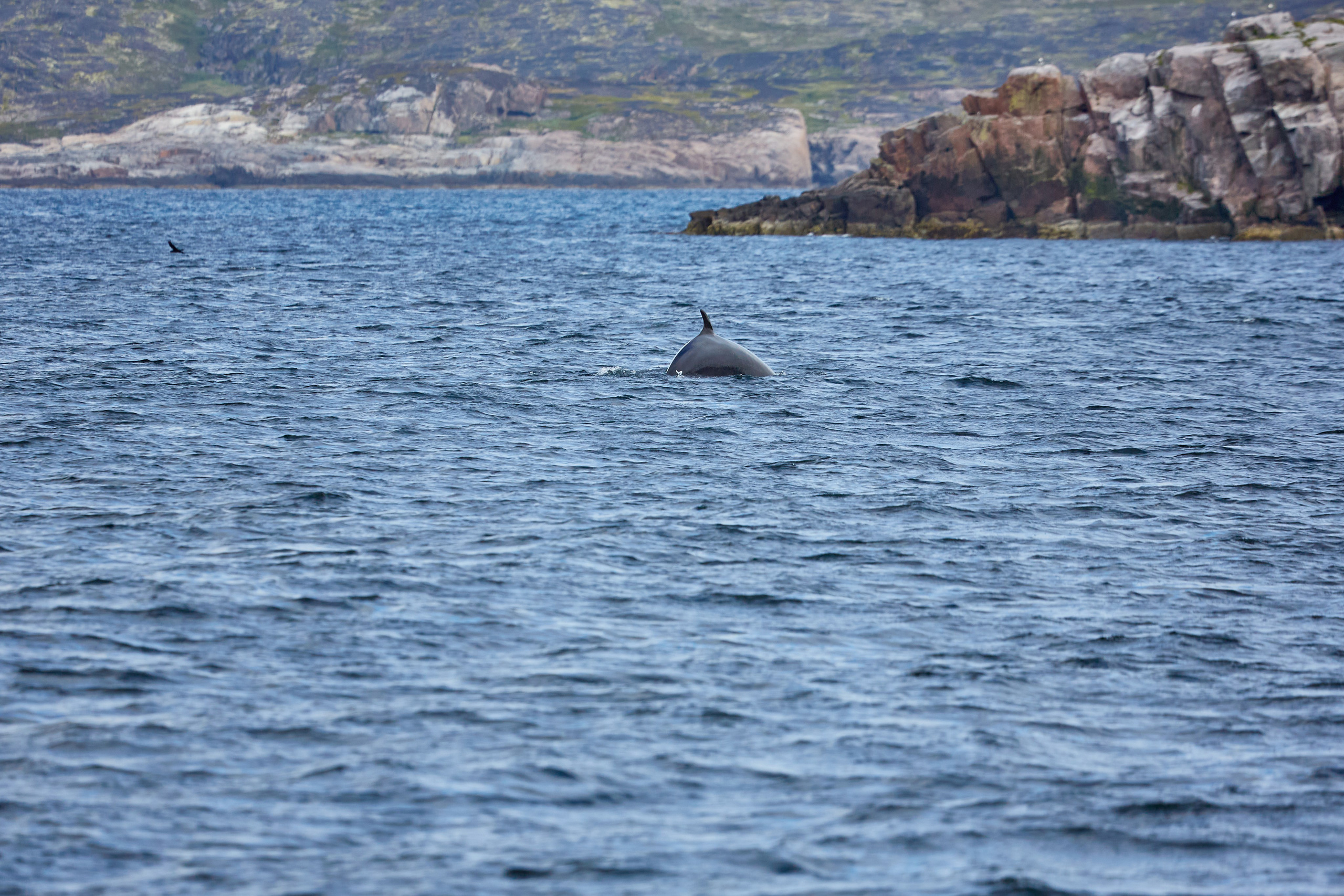Баренцево море. Пейзажи Крайнего Севера. Баренцево море, Рыбачий, Средний, Немецкий