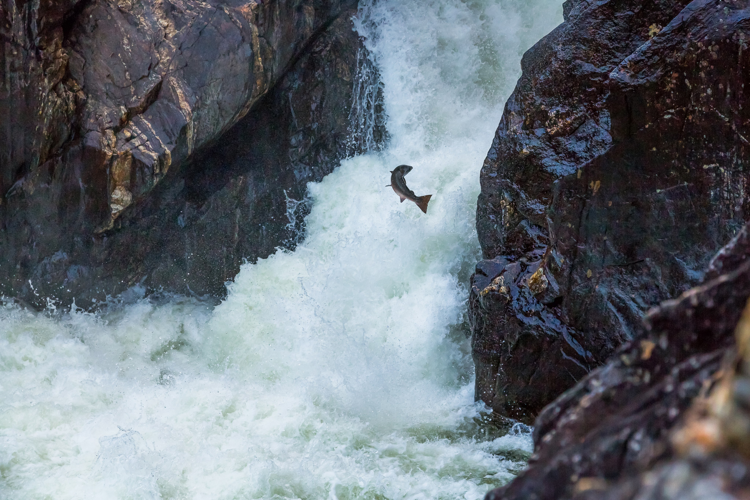 Водоемы. Пейзажи Крайнего Севера. Баренцево море, Рыбачий, Средний, Немецкий