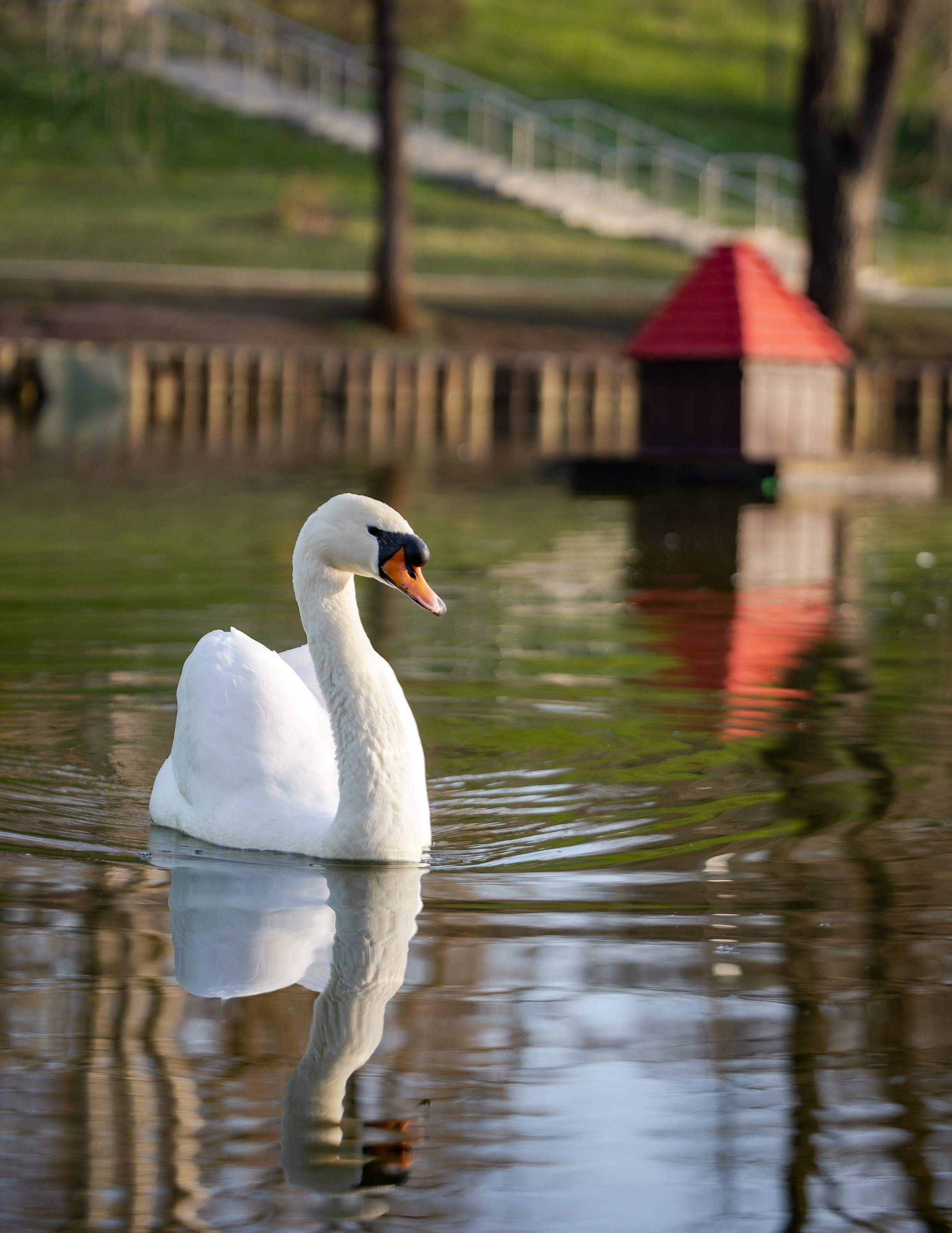 Птицы. Фотограф Владимир Охрименко