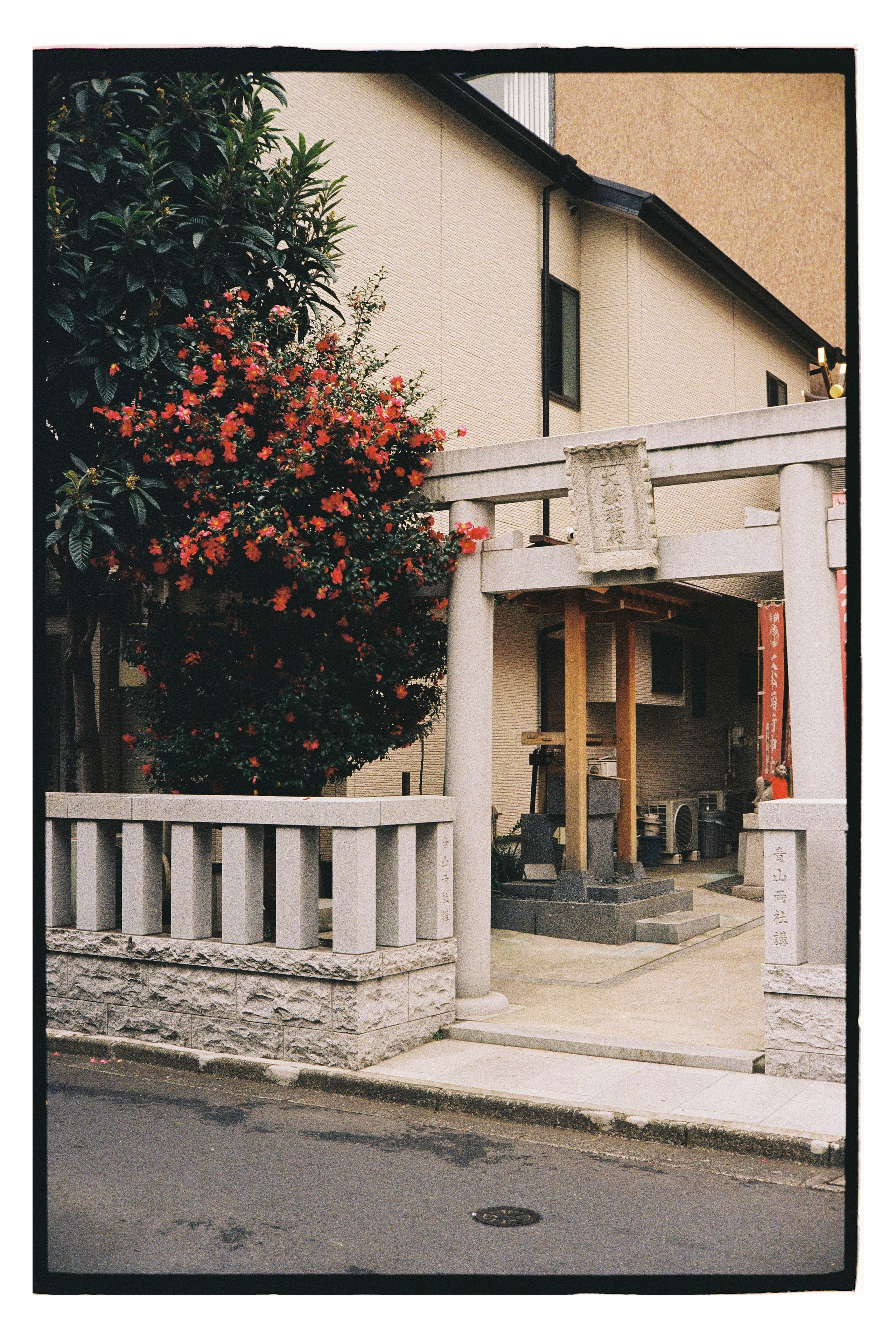 Japan. @tomrus: Рустам Шагиморданов — фотограф