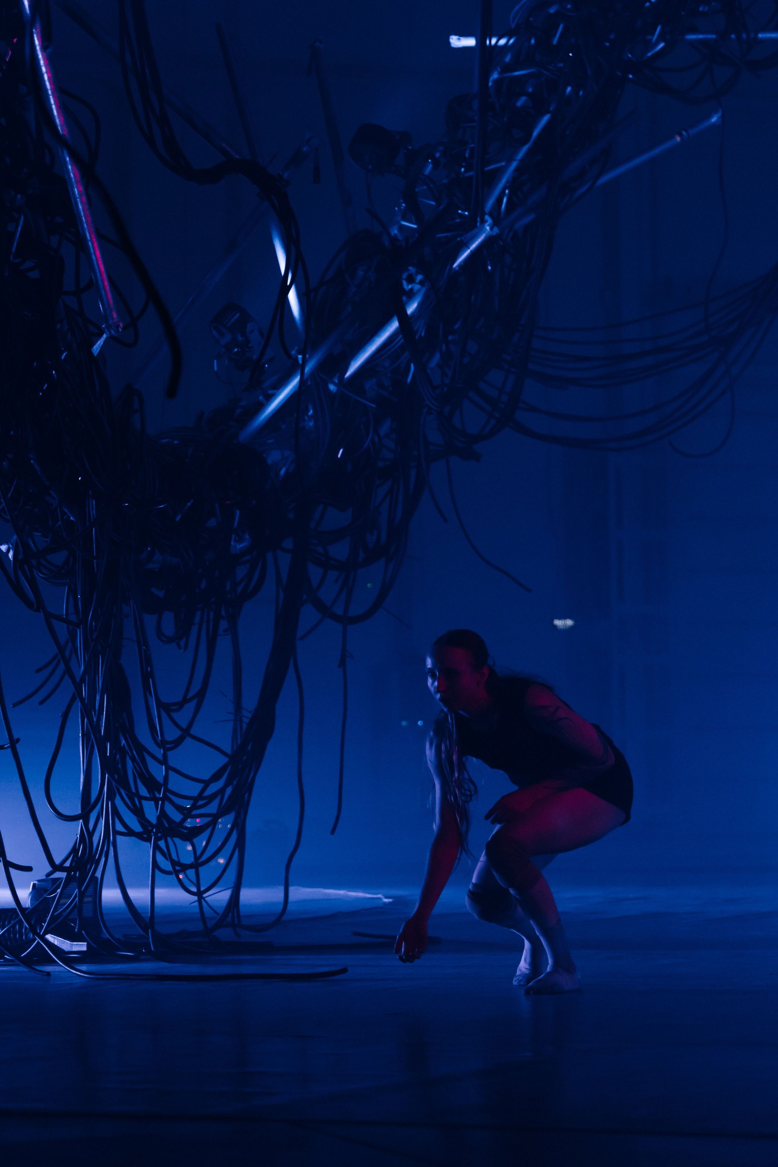 PERFORMA, The Hour of the Horse. @tomrus: Рустам Шагиморданов — фотограф