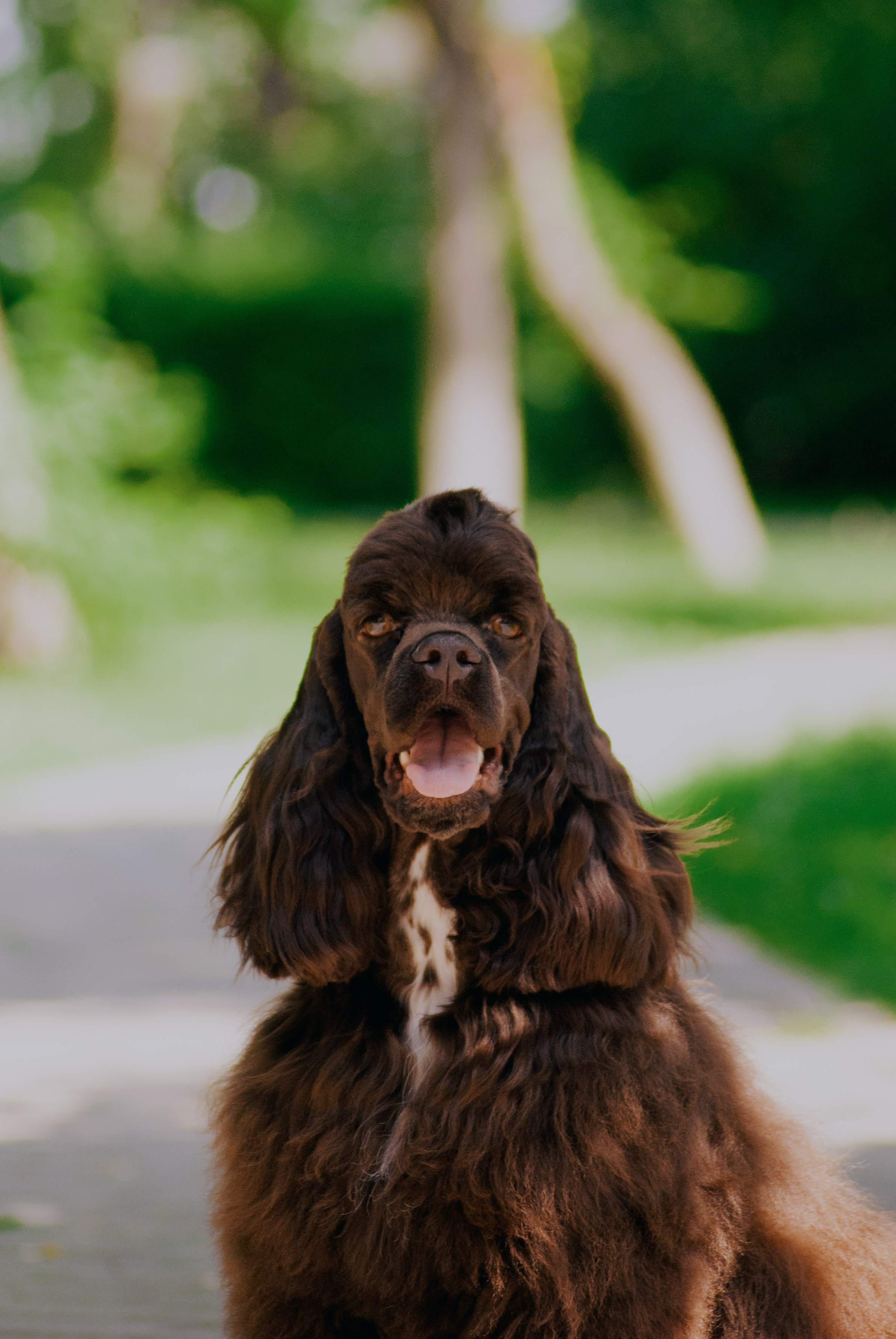 Лера и Анри. Фотограф в Тюмени Лизавета Сапицкая