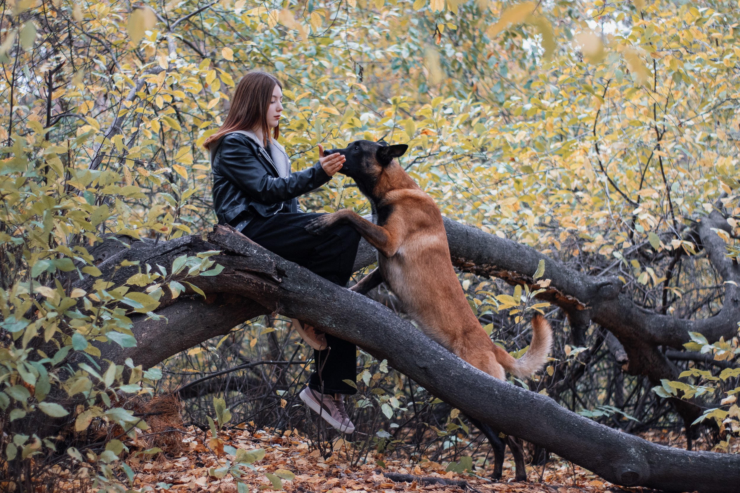 Женя и Берг. Фотограф в Тюмени Лизавета Сапицкая