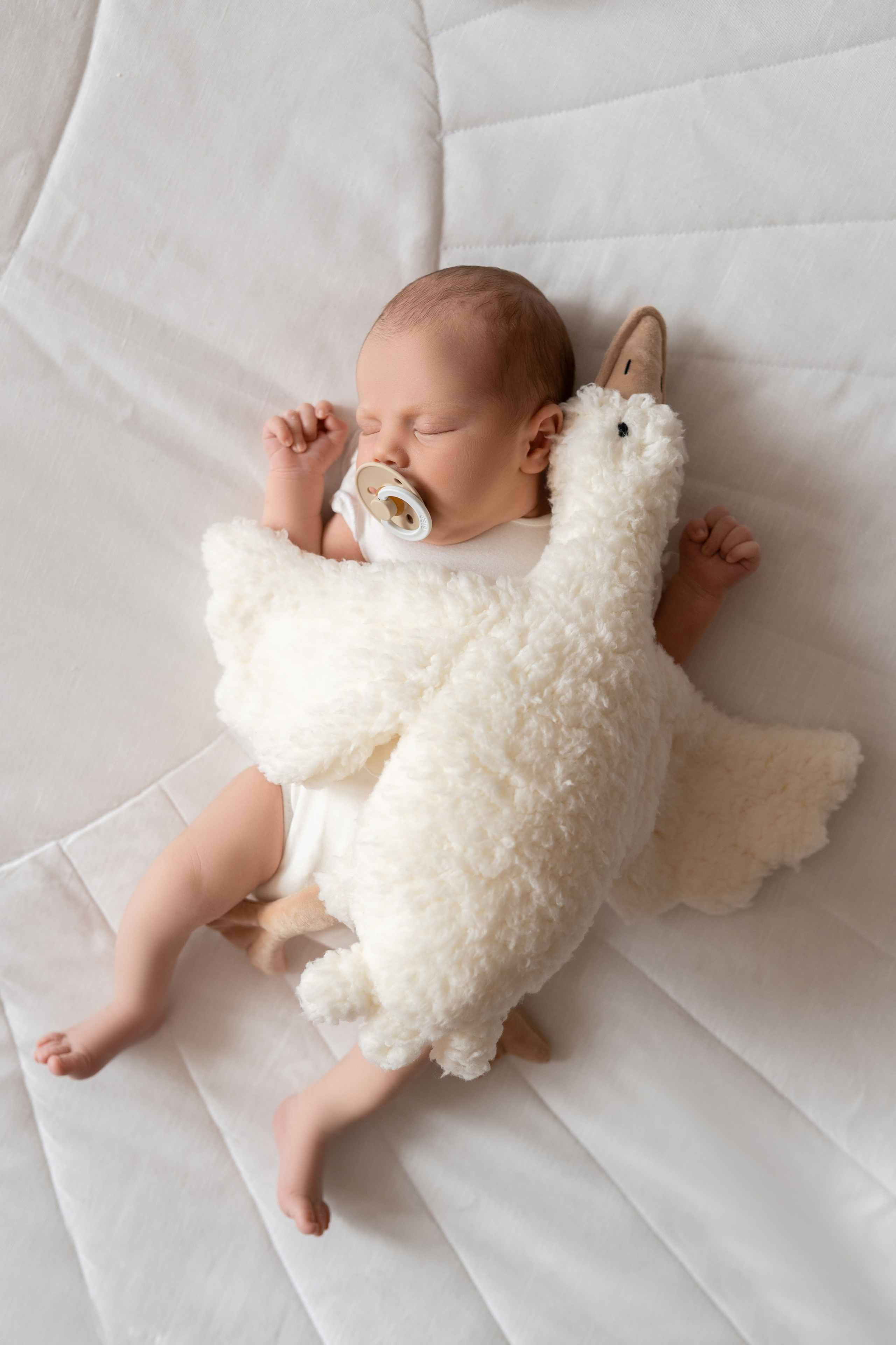 Новорождённые. Фотограф новорожденных малышей Одинцово/Москва Юлия Скок