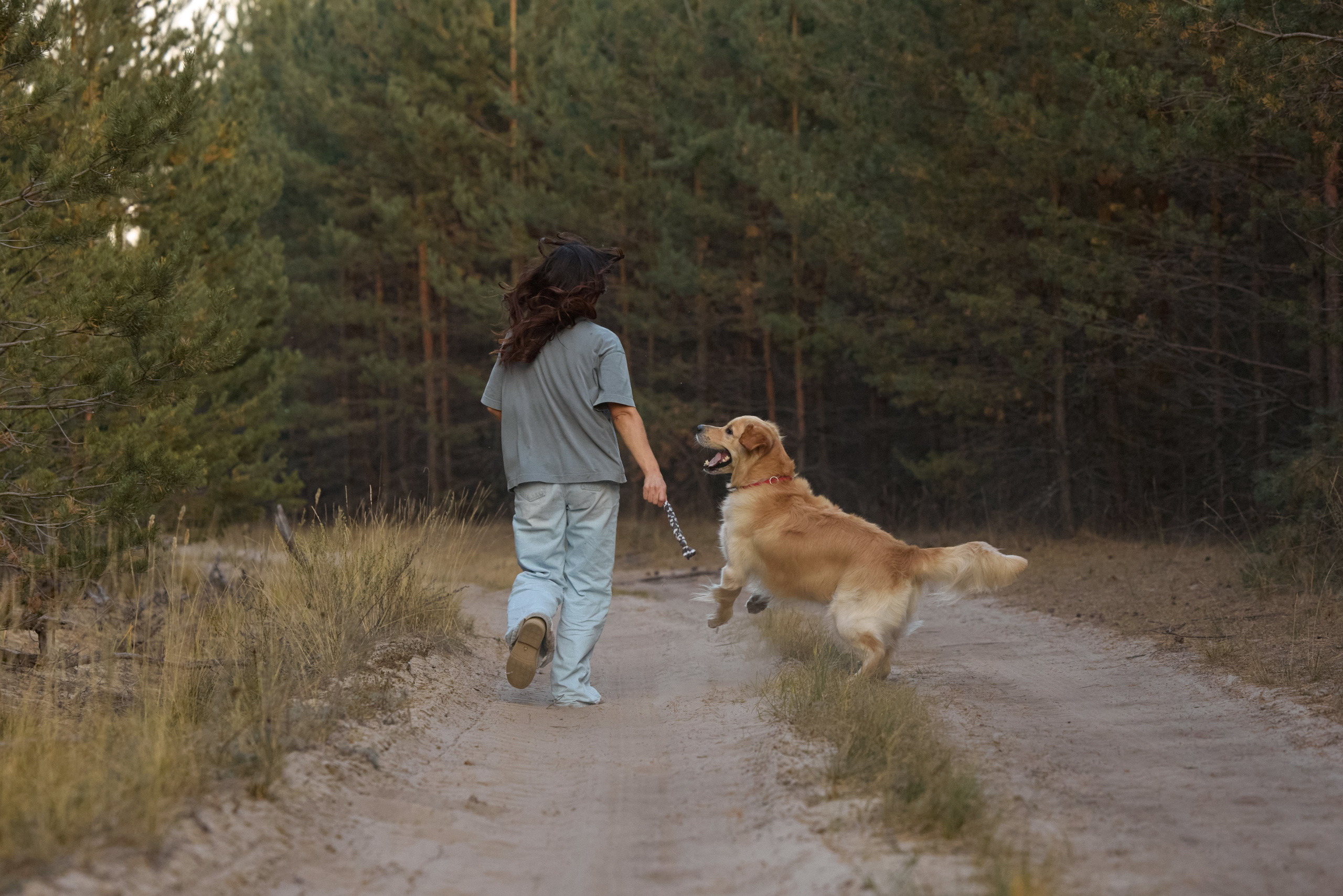 В Марийских лесах. Фотограф анималист в Казани Алина Сулейманова. Фотограф животных