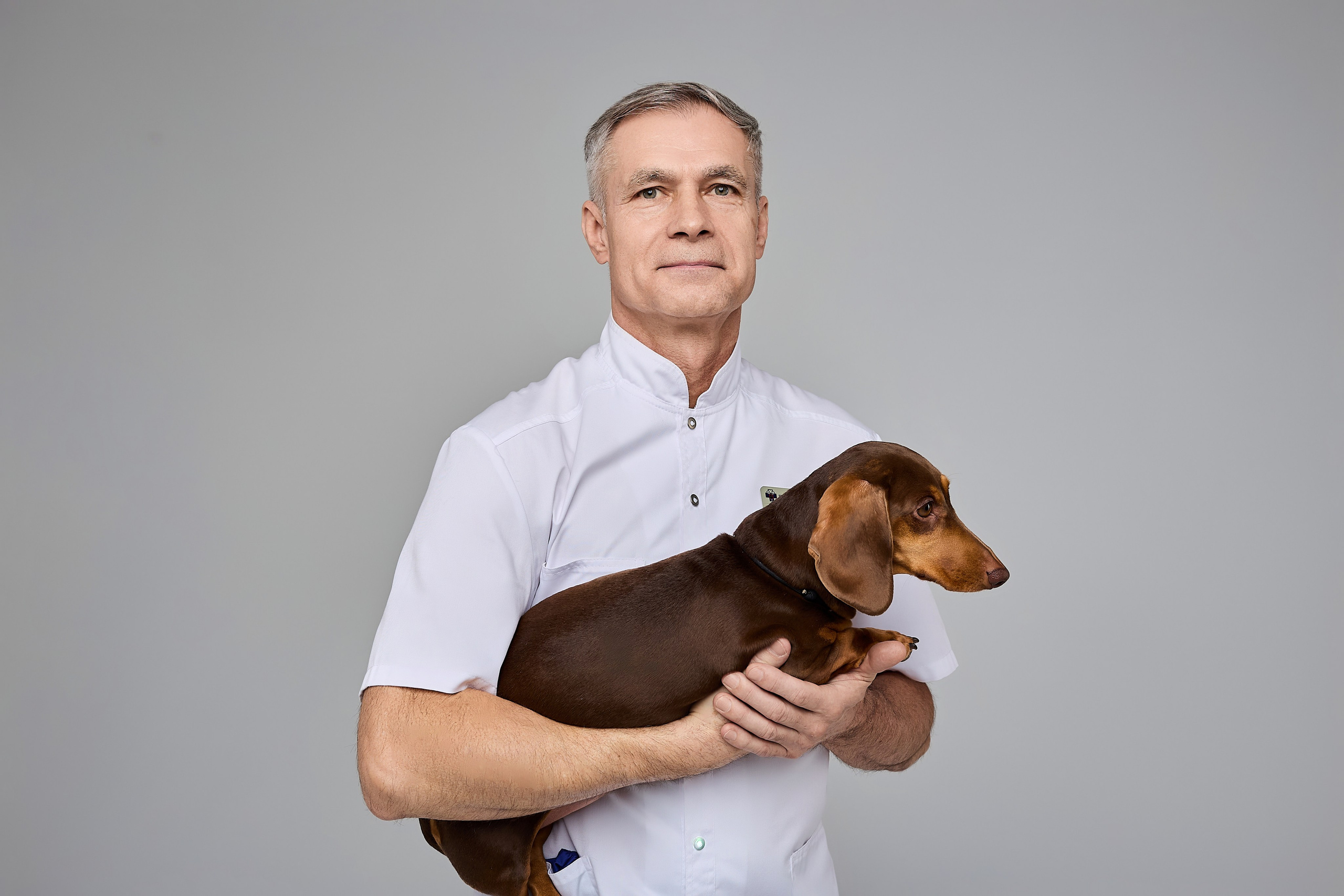 Контент для ветеринарного лендинга правительства Москвы. Фотограф и Видеограф в Москве. Олег Корушев