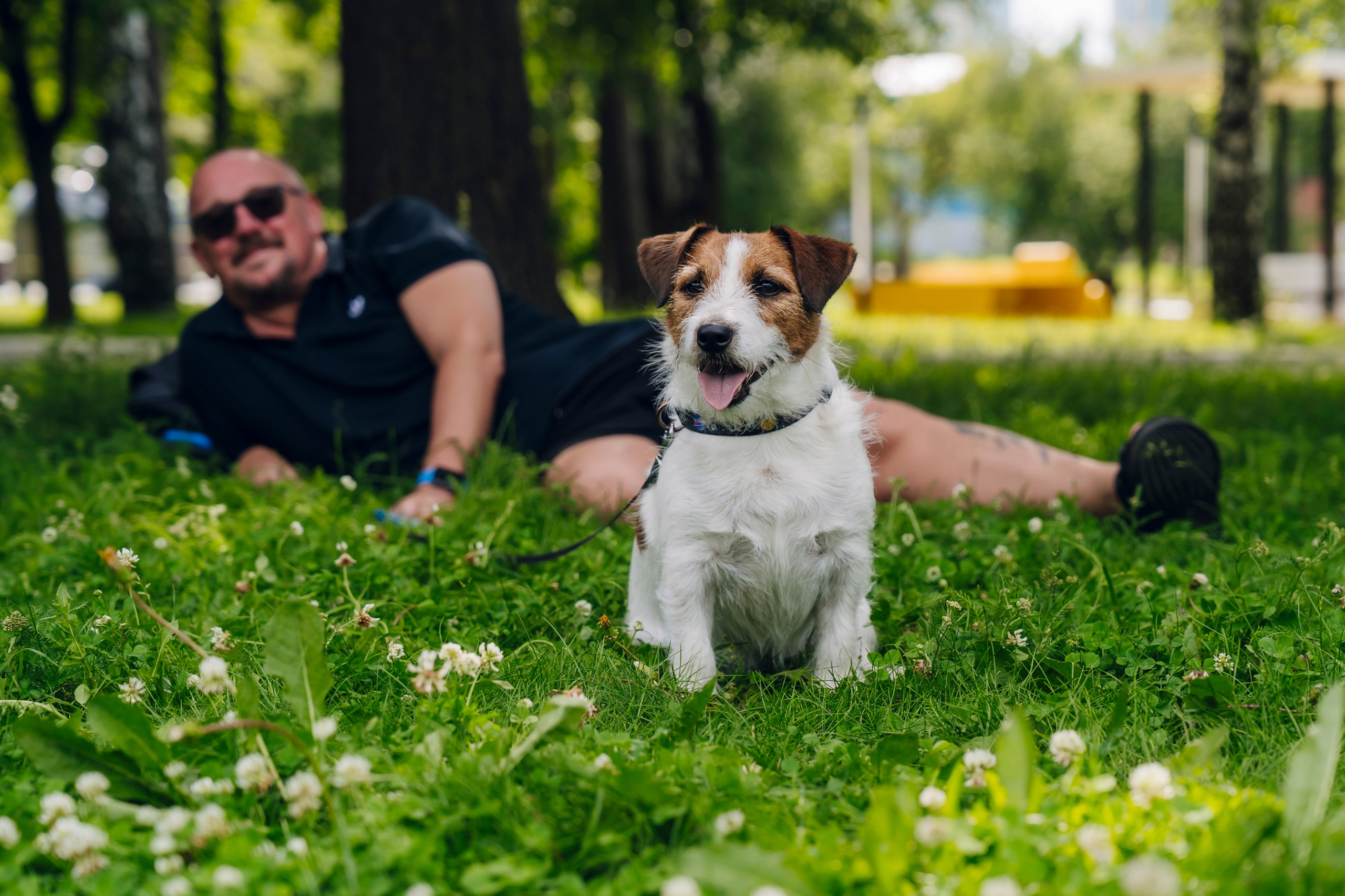 Дневные события. Geometria