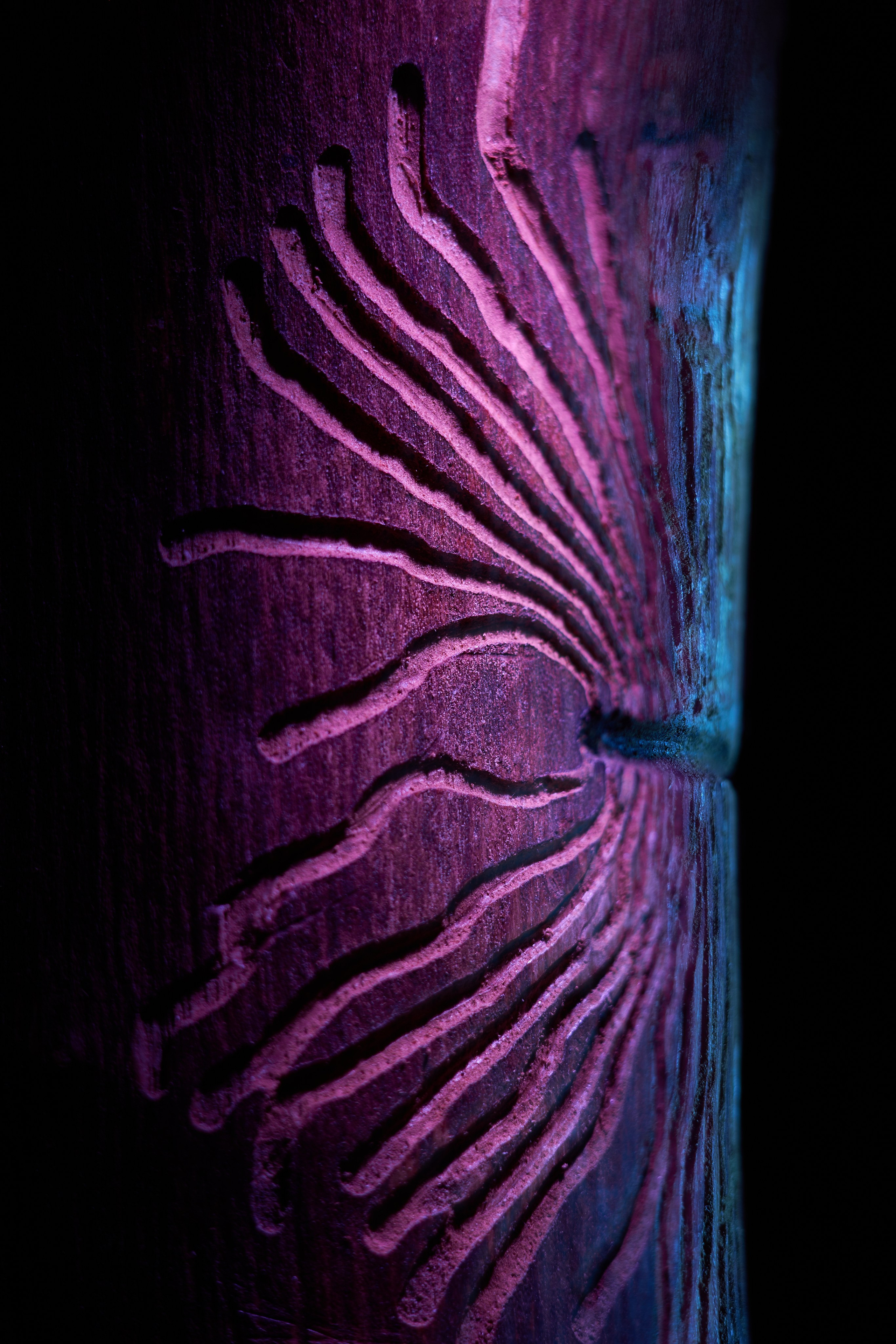 «Красок Тьма Полна». Арт-фотограф во Владивостоке Дмитрий Осипчук