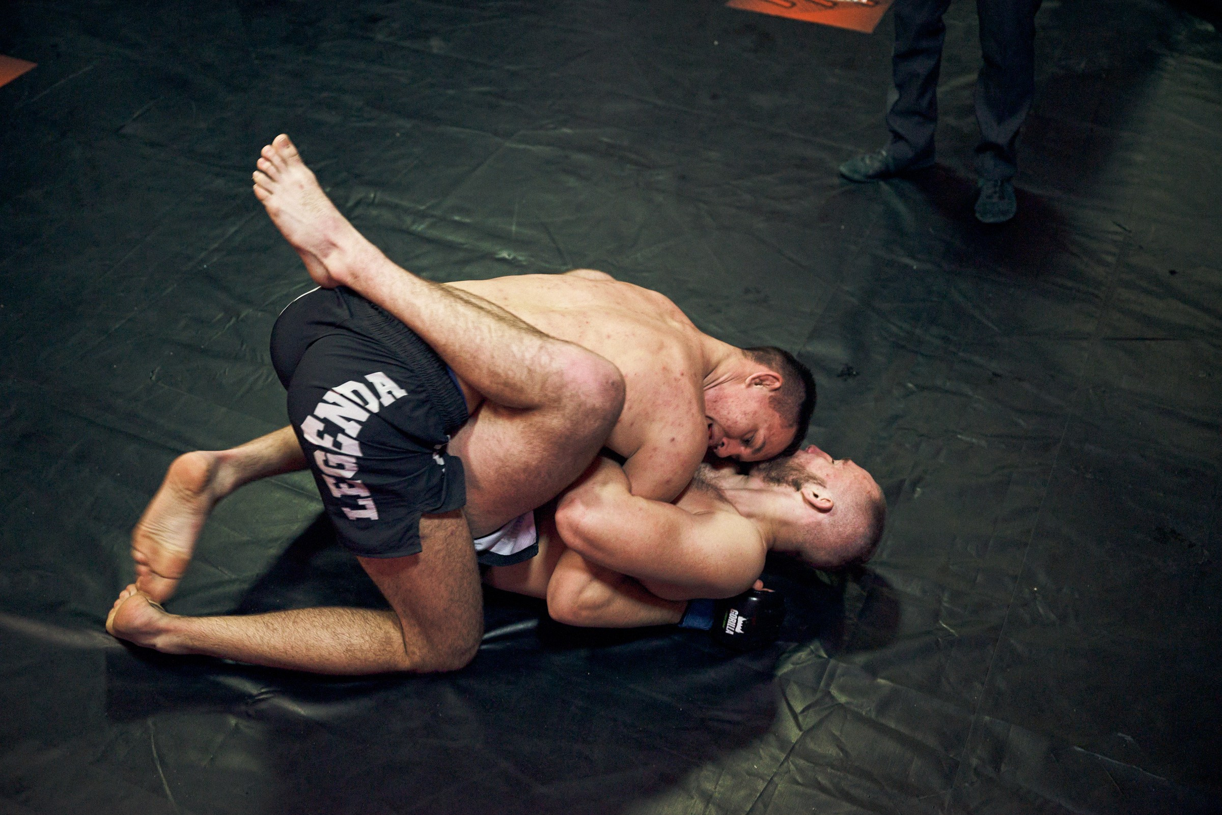 Бои. Маляревич Дмитрий свадебный фотограф