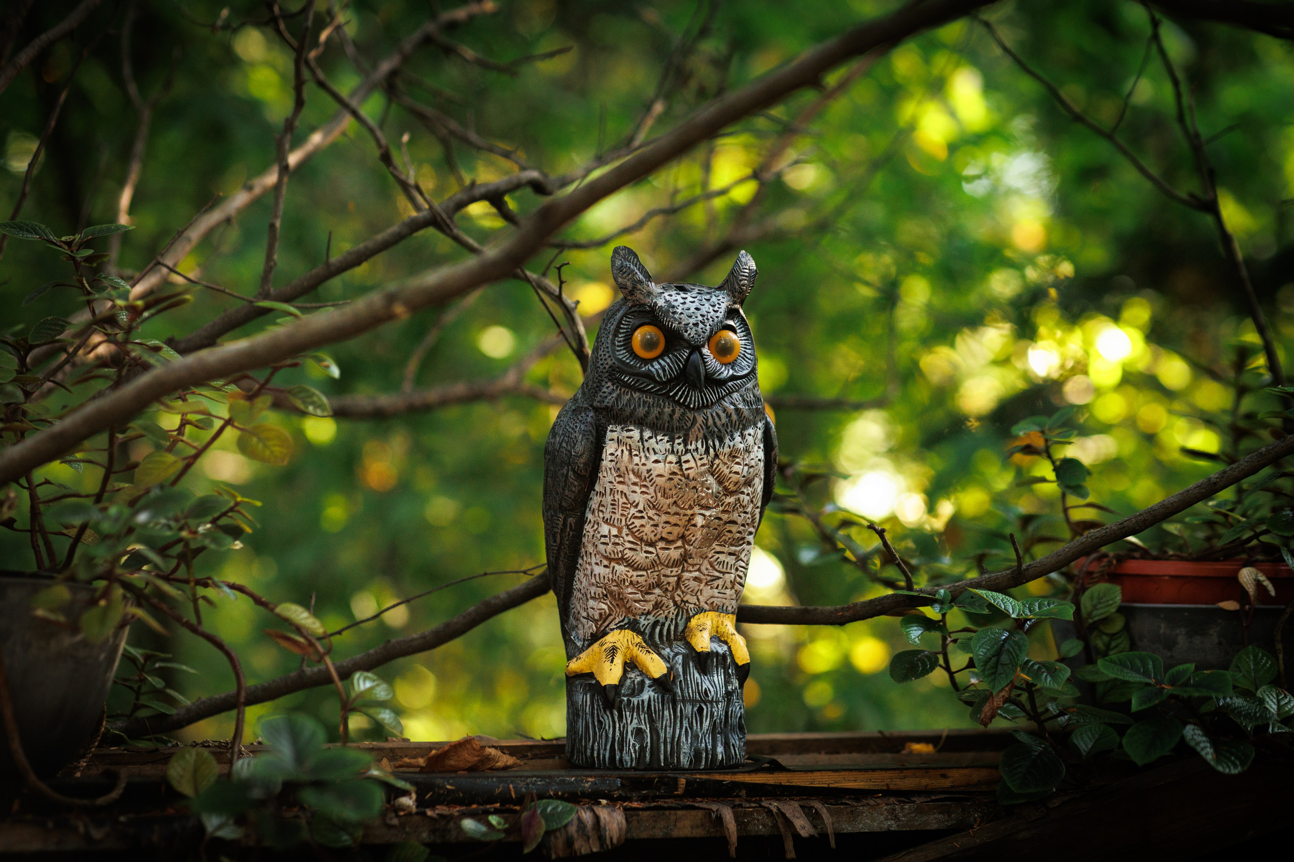 Спектакль в Ботаническом саду (студия «Знаки сезонников». Фотограф в Твери и Москве Юлия Бахтамова