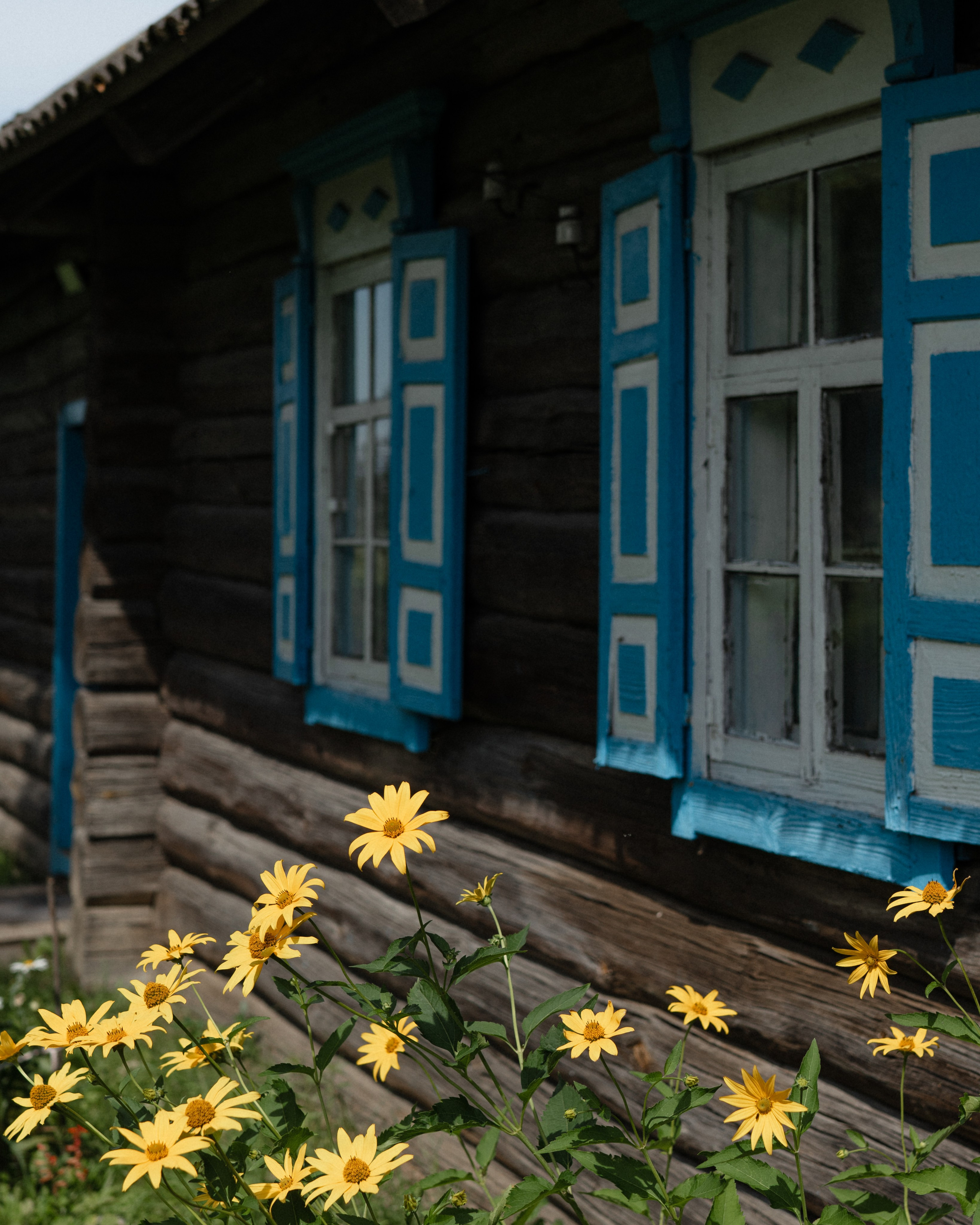 Беларусь. Твой фотограф в Москве и Московской области Романцова Ирина