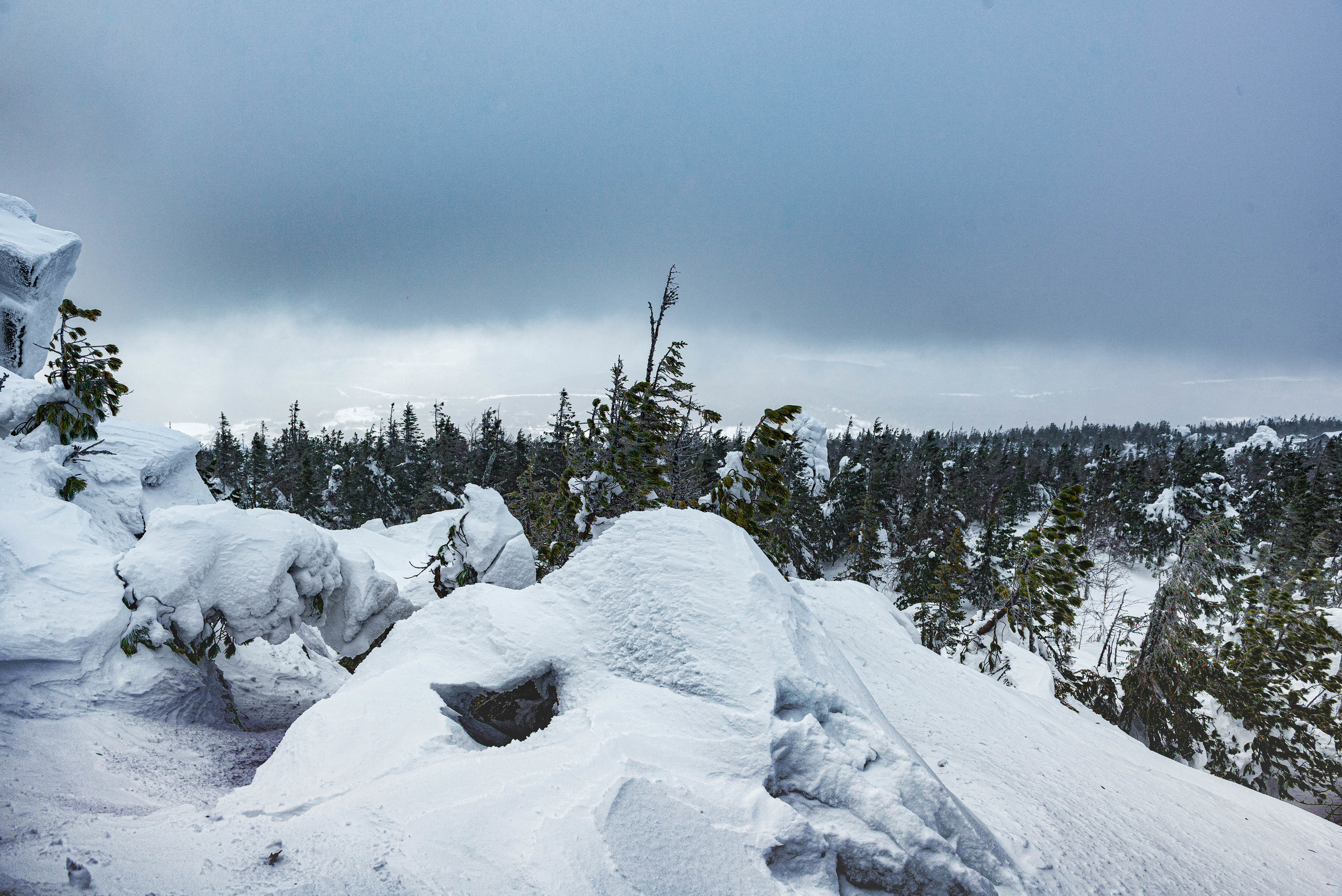 Качканар 07.03.2020. Свадебный фотограф на Урале Виктор Соколов