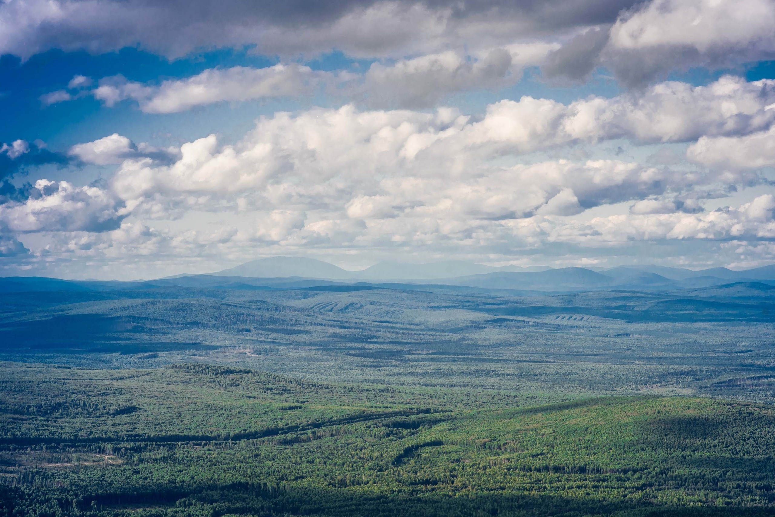 Качканар 24.08.2019. Свадебный фотограф на Урале Виктор Соколов