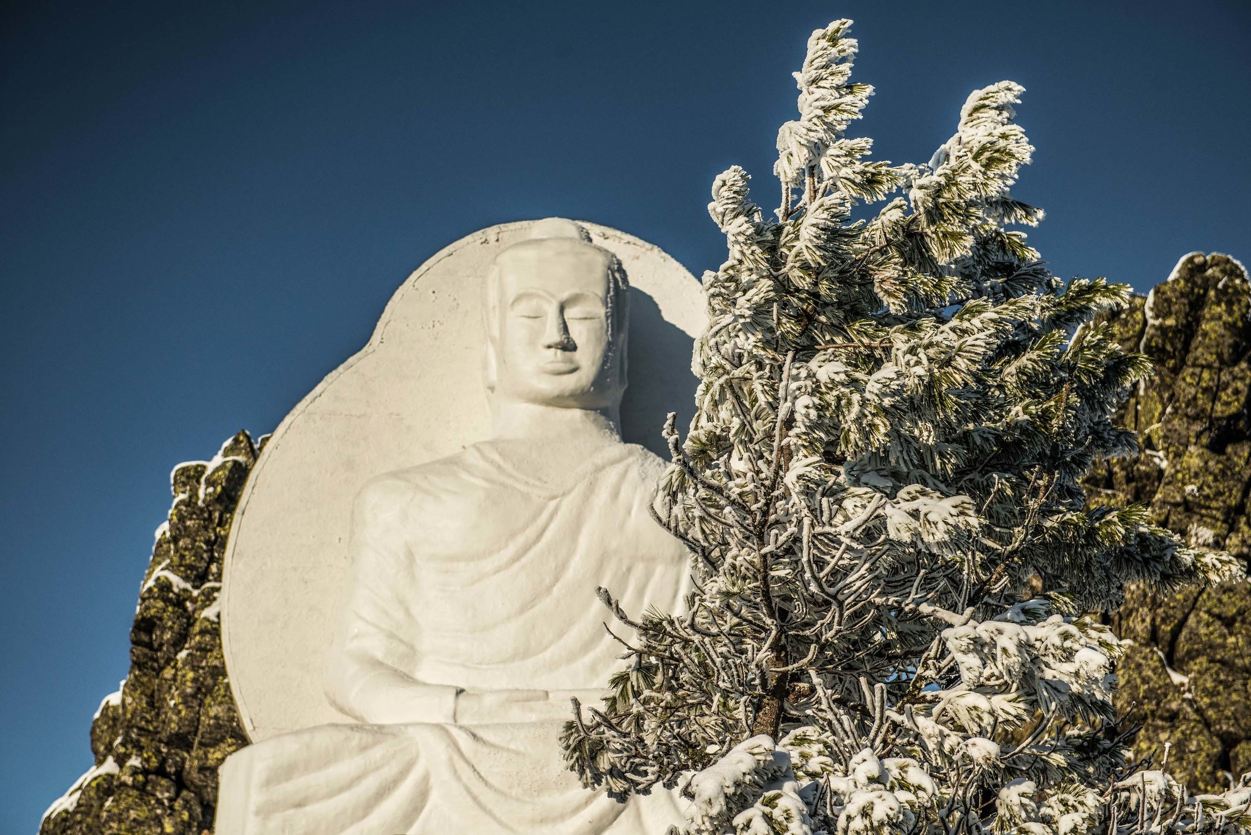 Качканар 19.10.2019. Свадебный фотограф на Урале Виктор Соколов