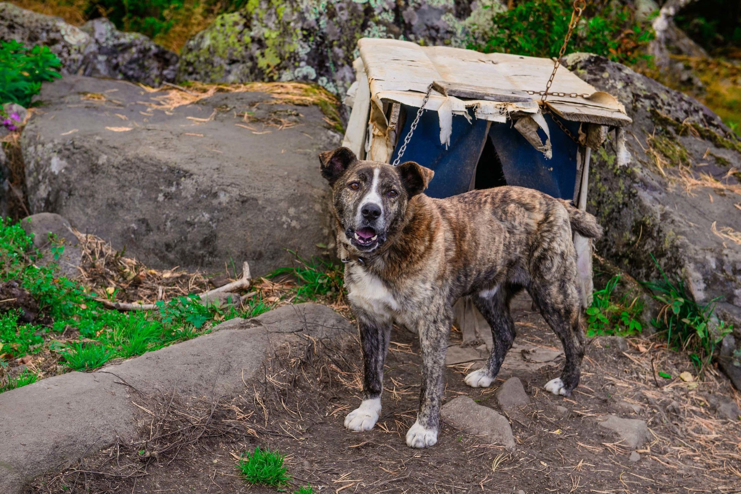 Качканар 24.08.2019. Свадебный фотограф на Урале Виктор Соколов
