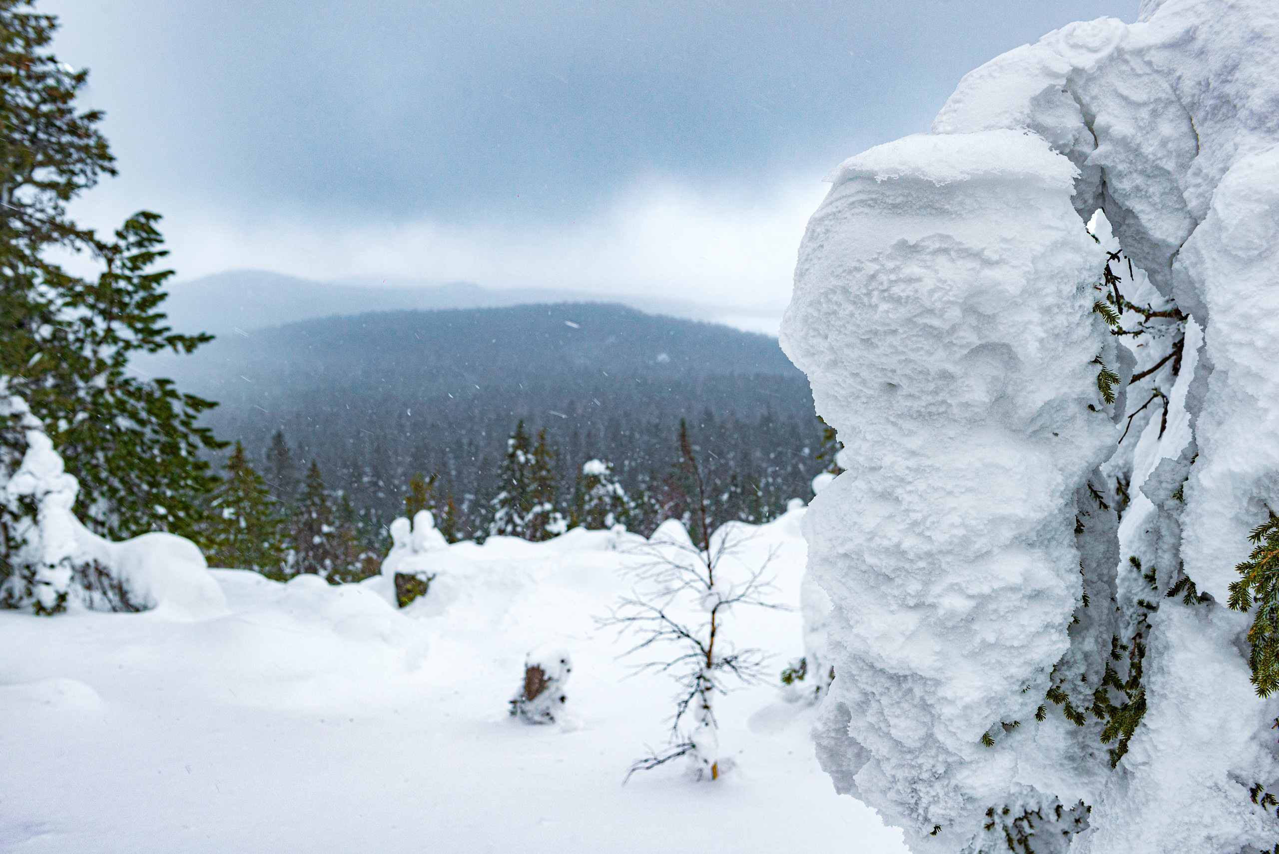 Качканар 07.03.2020. Свадебный фотограф на Урале Виктор Соколов