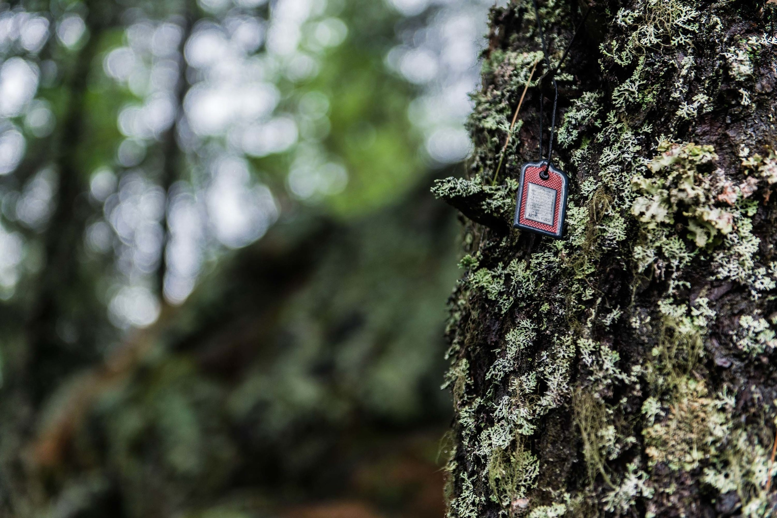 Качканар 03.08.2019. Свадебный фотограф на Урале Виктор Соколов
