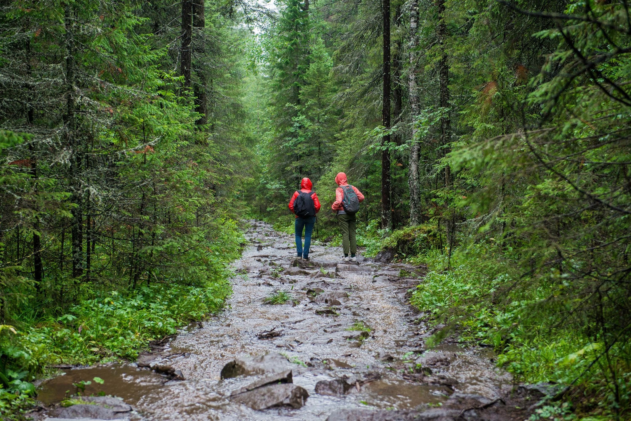 Качканар 03.08.2019. Свадебный фотограф на Урале Виктор Соколов