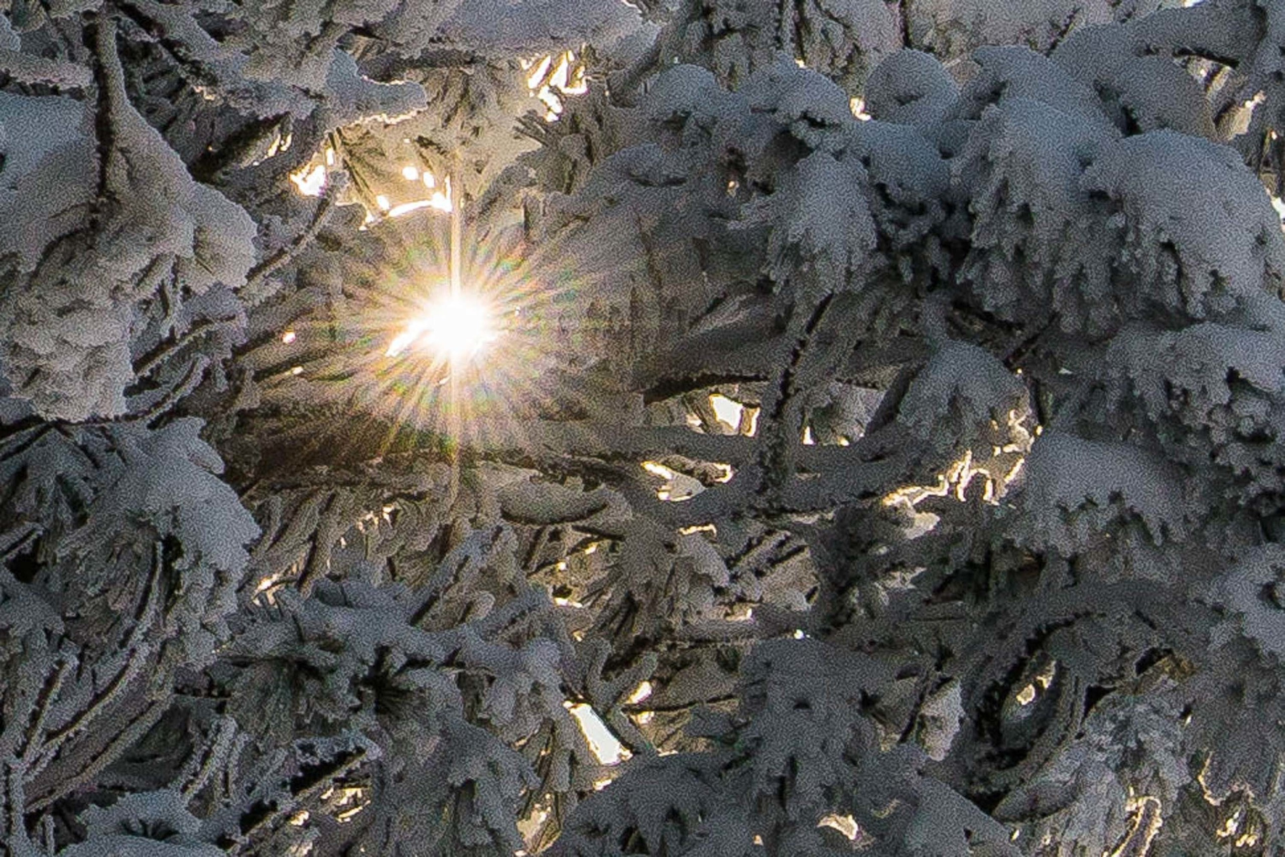 Качканар 19.10.2019. Свадебный фотограф на Урале Виктор Соколов