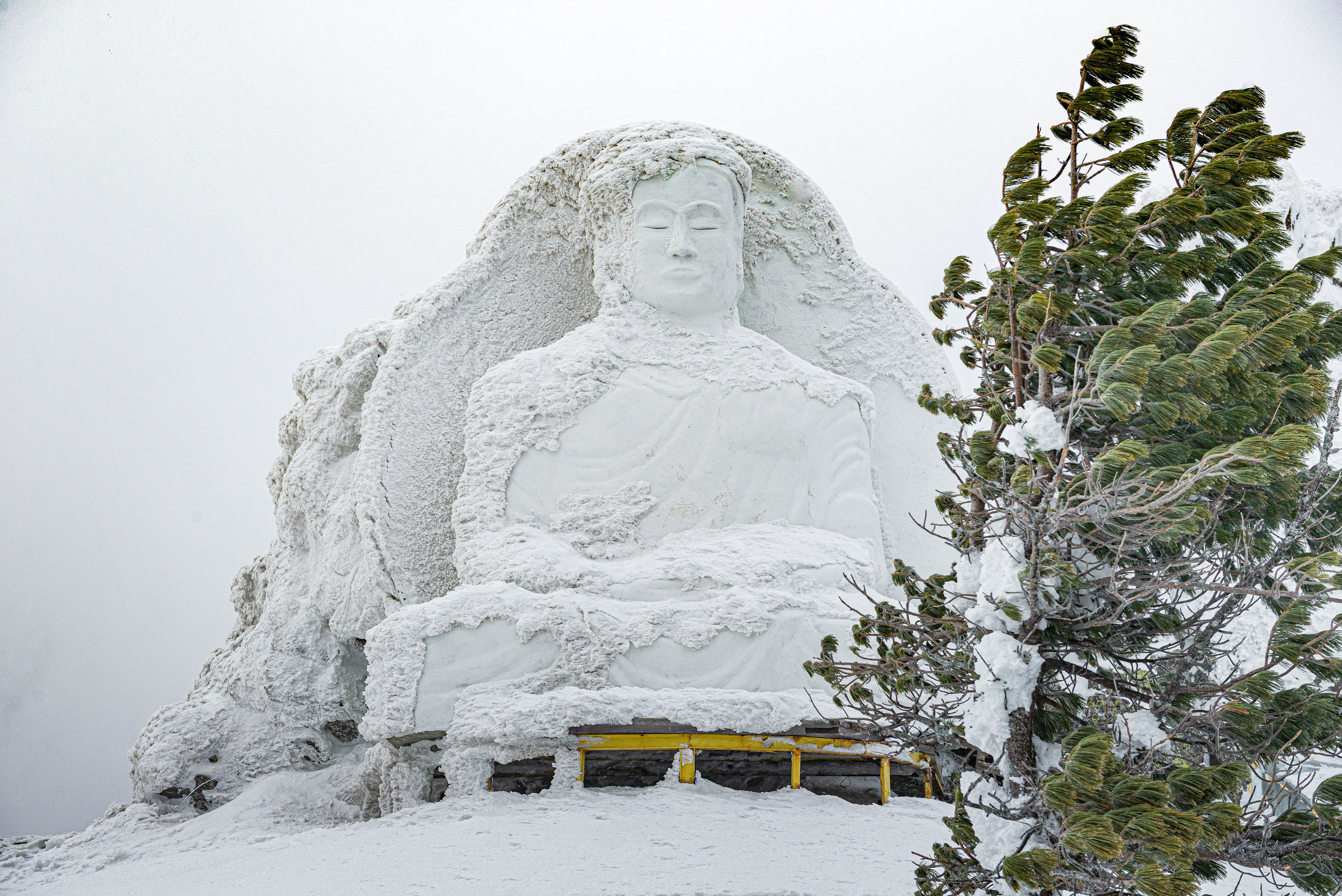 Качканар 07.03.2020. Свадебный фотограф на Урале Виктор Соколов