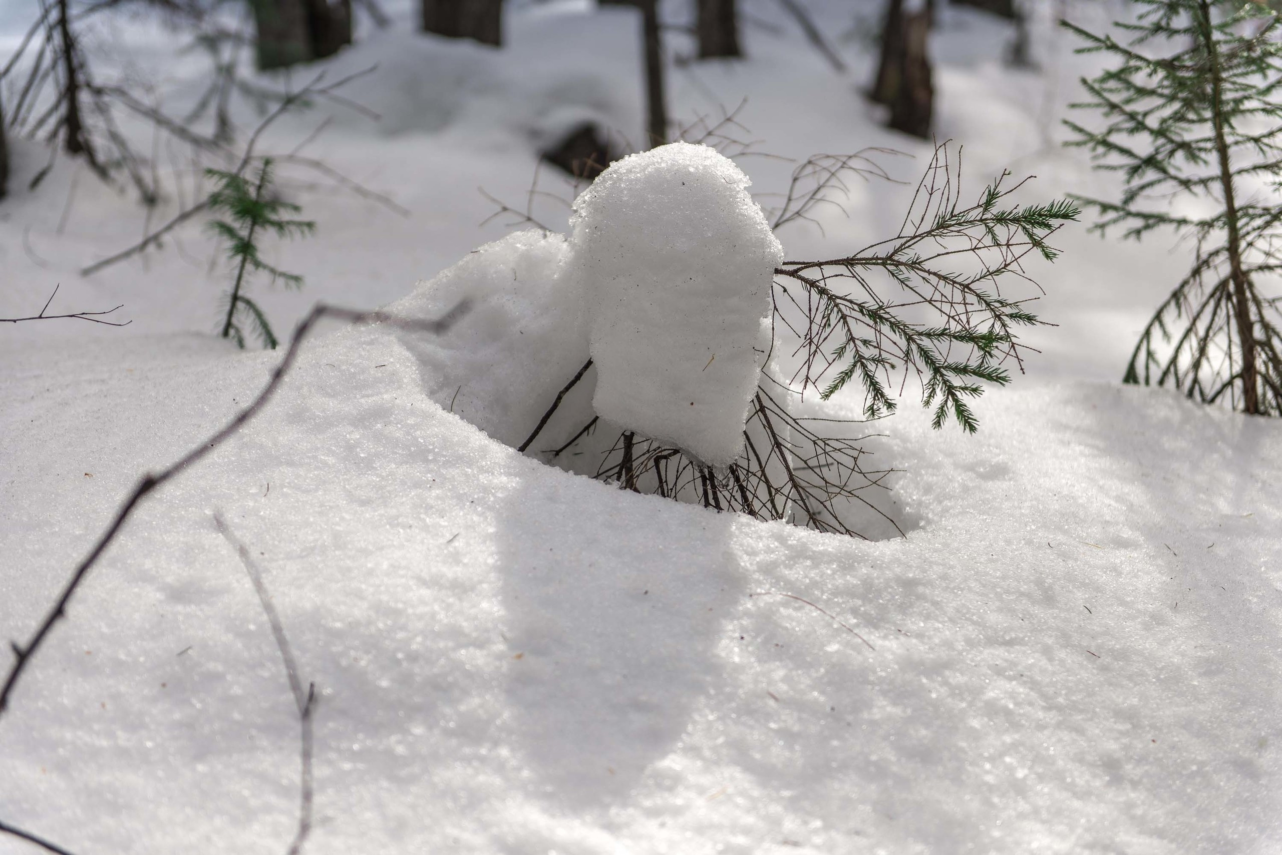 Качканар 06.04.2019. Свадебный фотограф на Урале Виктор Соколов