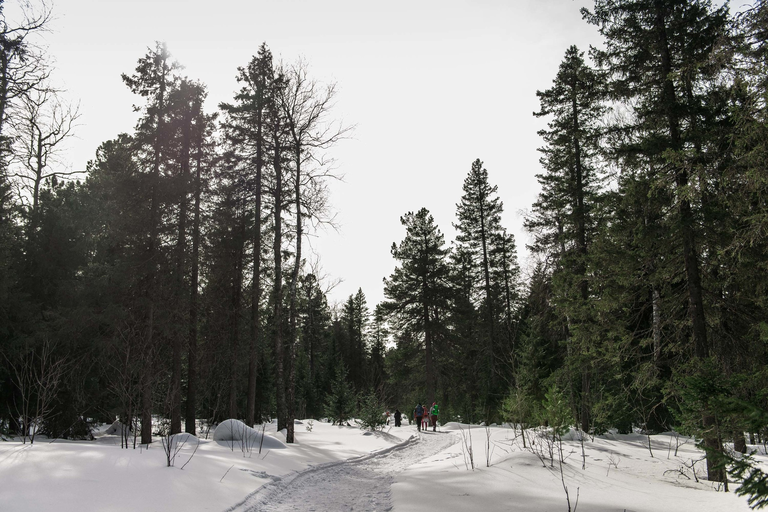 Качканар 06.04.2019. Свадебный фотограф на Урале Виктор Соколов