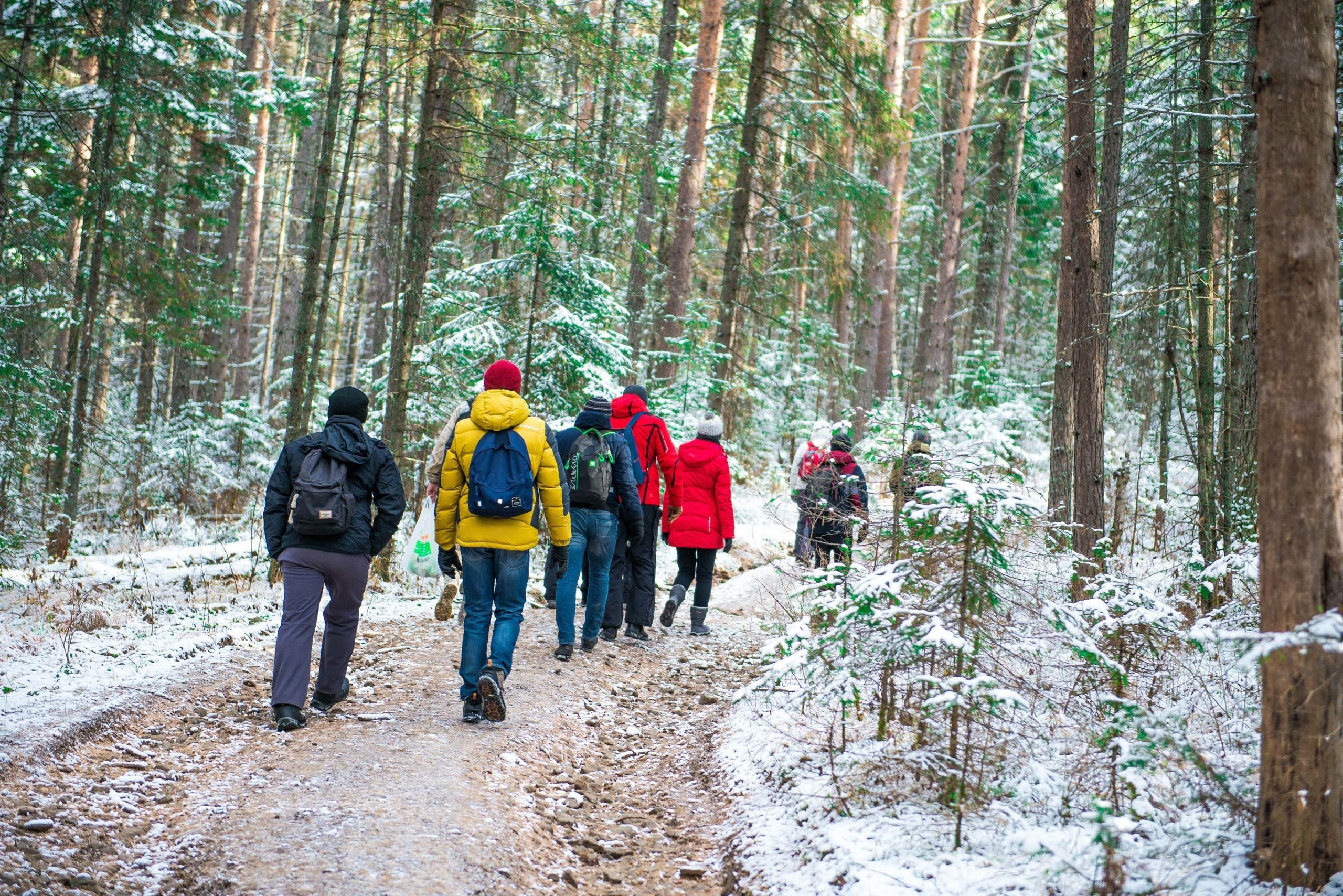 Качканар 19.10.2019. Свадебный фотограф на Урале Виктор Соколов