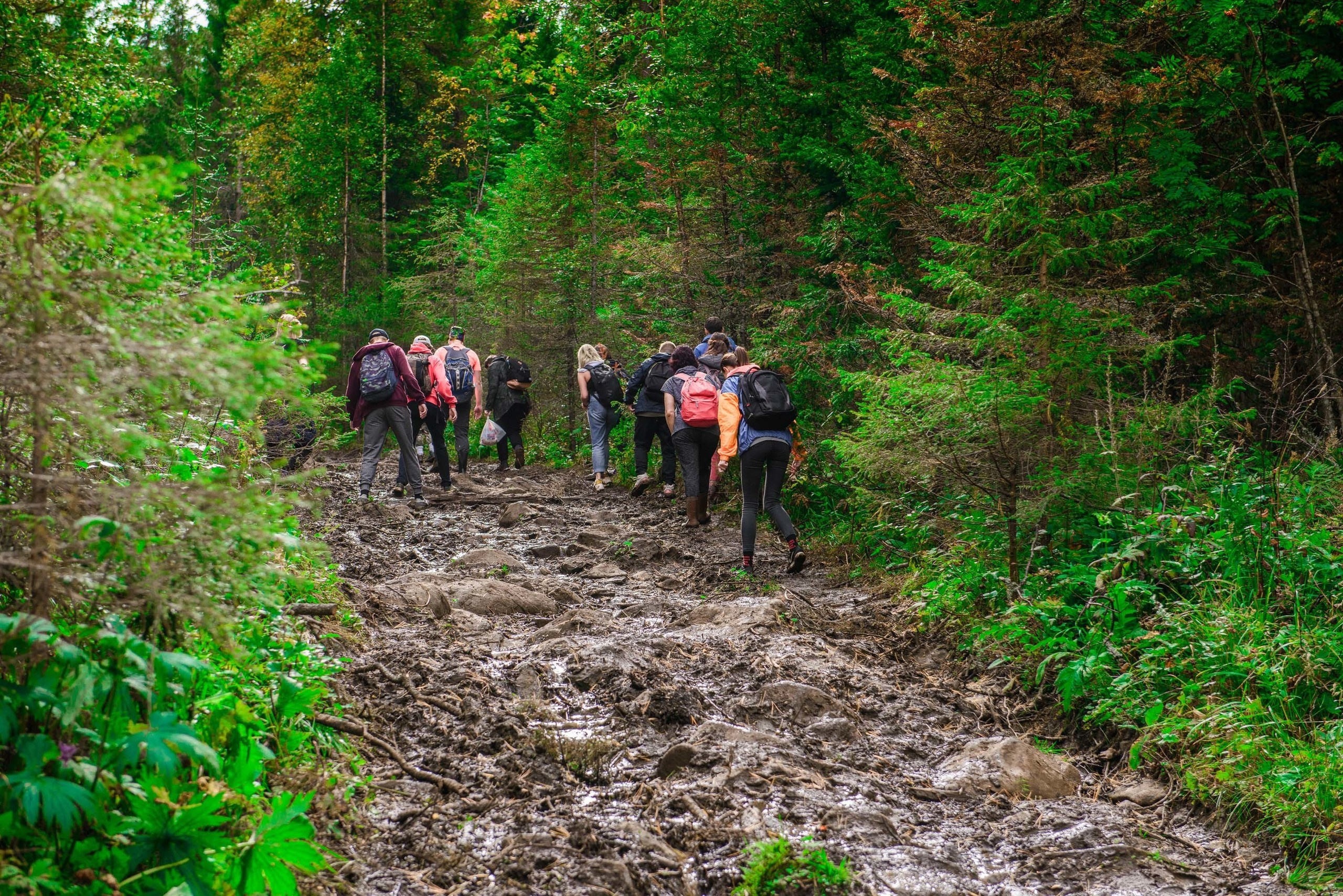 Качканар 24.08.2019. Свадебный фотограф на Урале Виктор Соколов