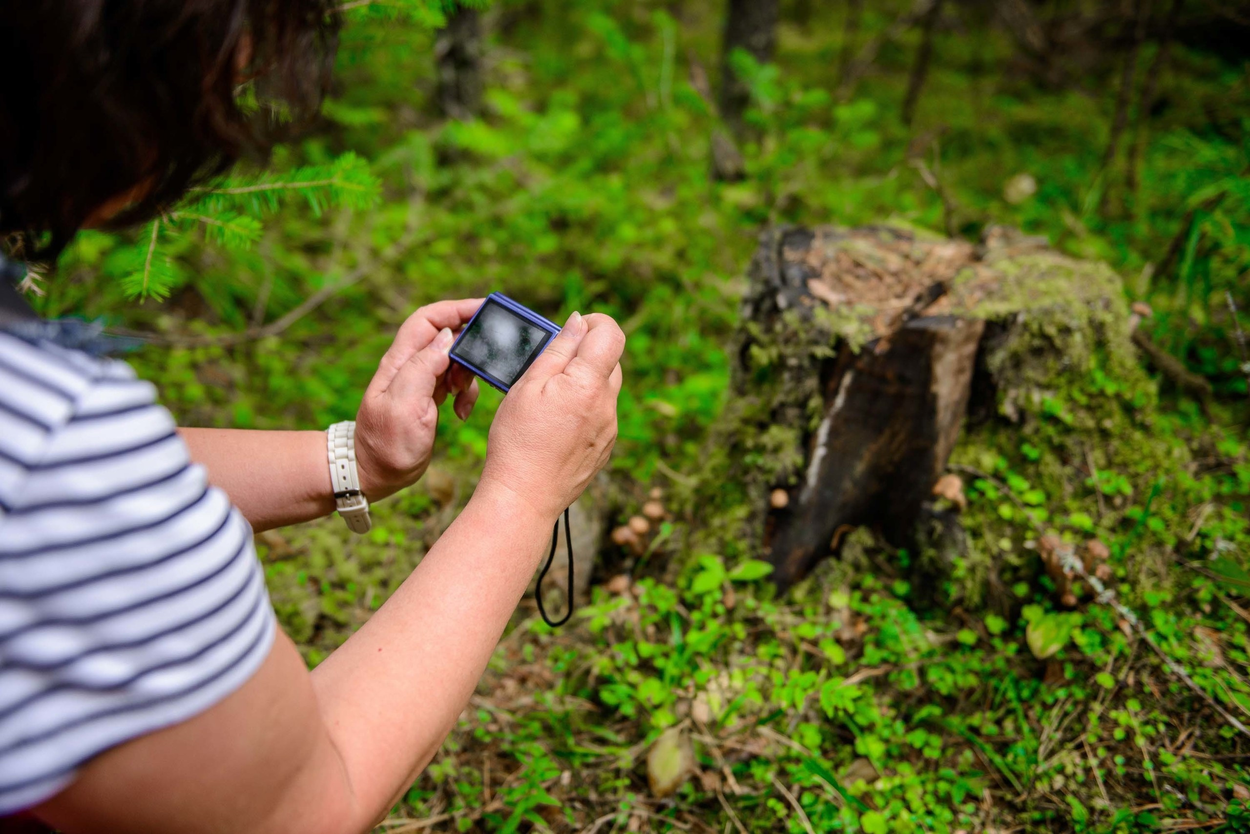 Качканар 24.08.2019. Свадебный фотограф на Урале Виктор Соколов