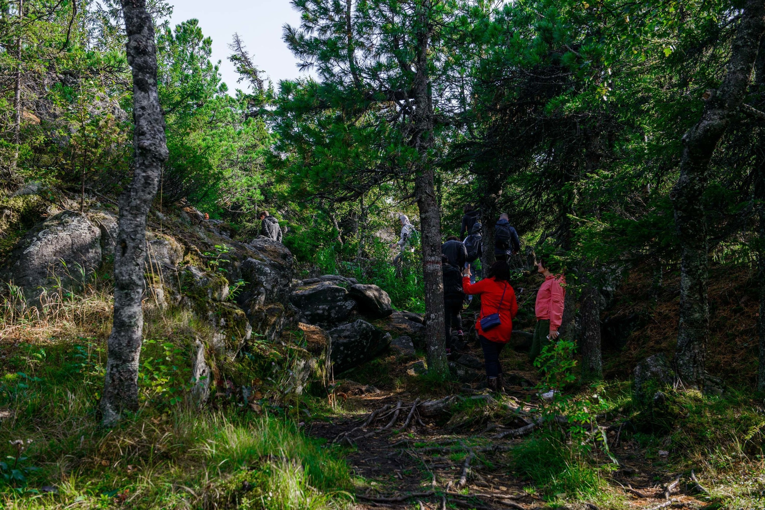Качканар 24.08.2019. Свадебный фотограф на Урале Виктор Соколов