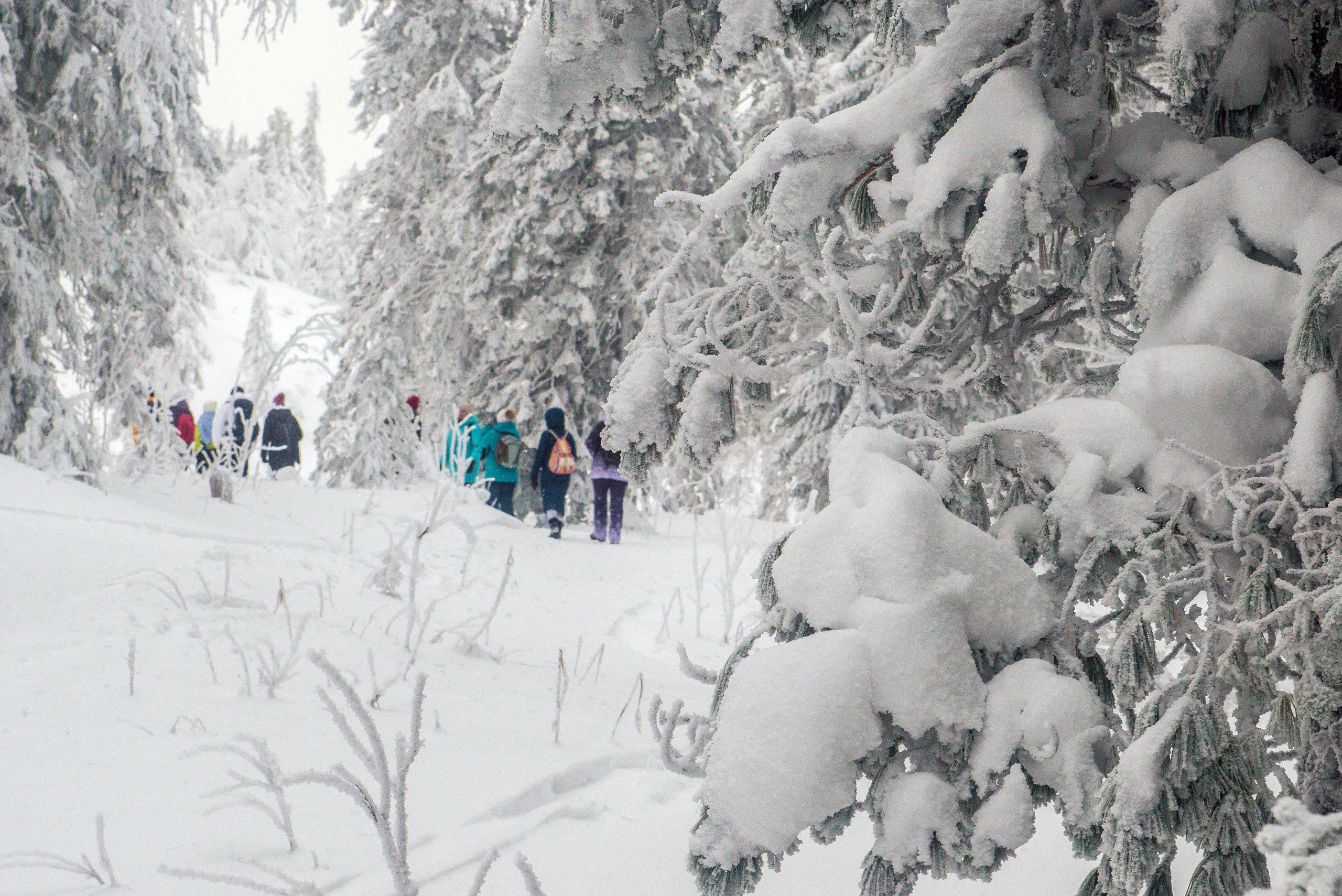 Качканар 06.01.2020. Свадебный фотограф на Урале Виктор Соколов