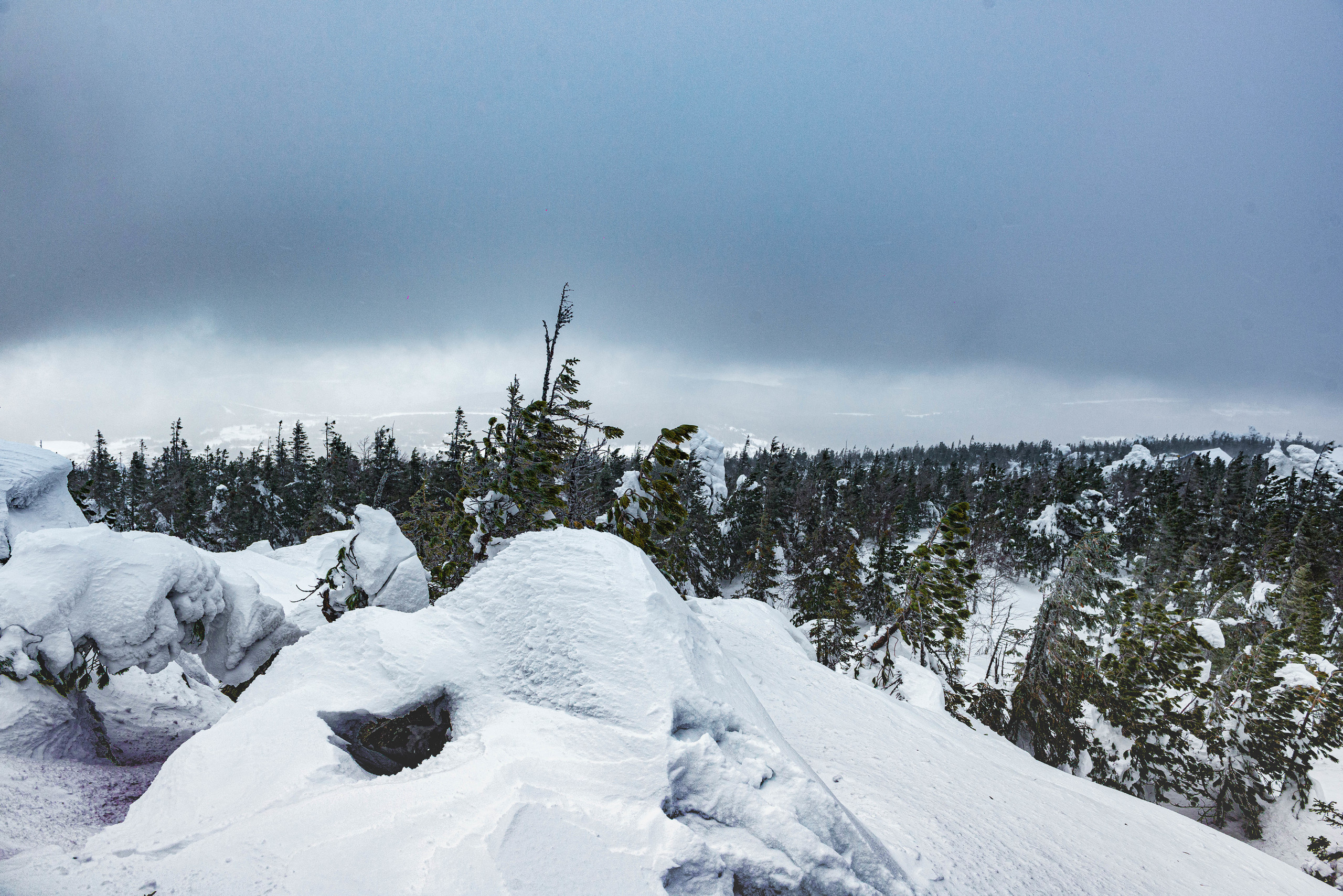 Качканар 07.03.2020. Свадебный фотограф на Урале Виктор Соколов