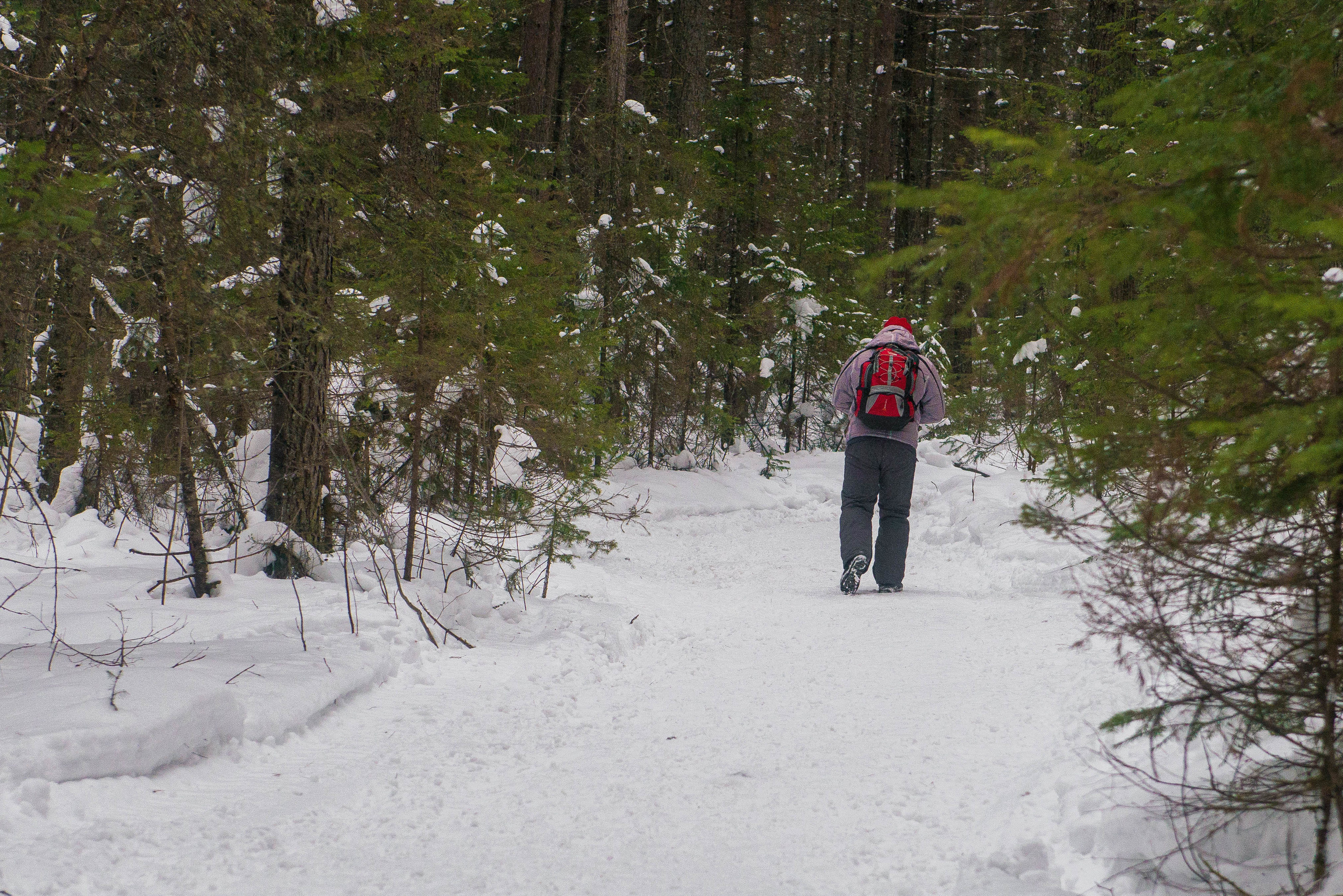 Качканар 06.01.2020. Свадебный фотограф на Урале Виктор Соколов