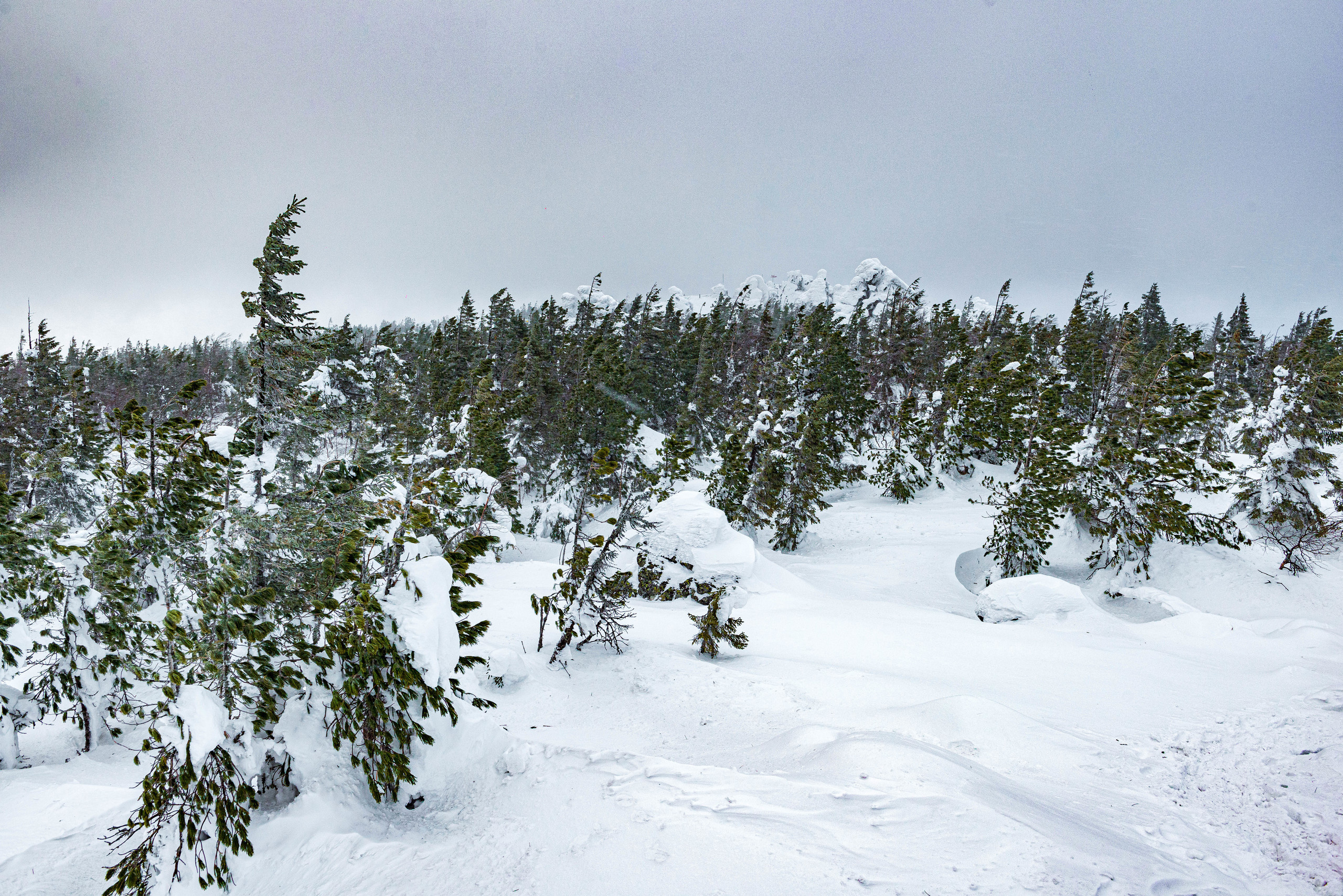 Качканар 07.03.2020. Свадебный фотограф на Урале Виктор Соколов