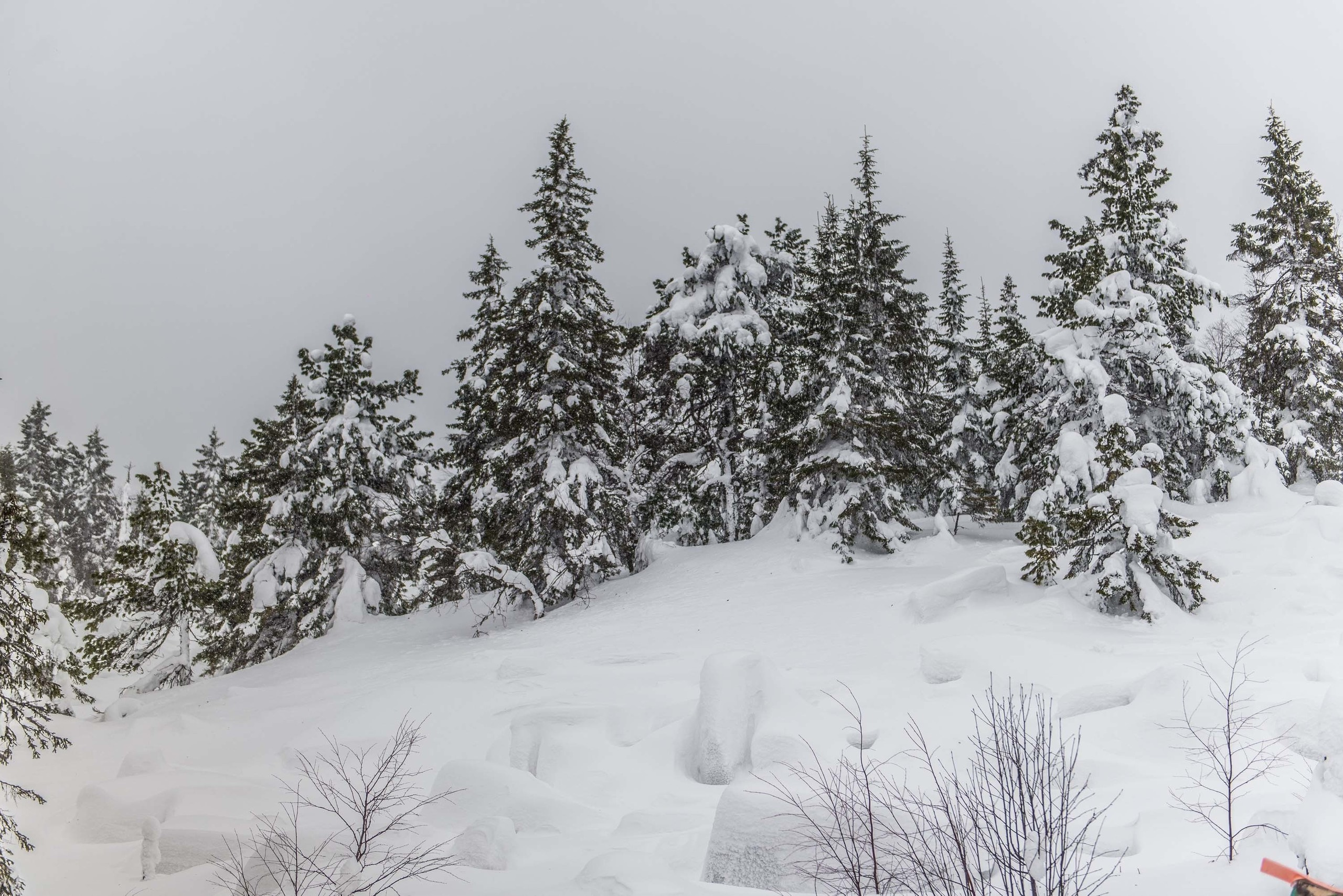 Качканар 09.03.2019. Свадебный фотограф на Урале Виктор Соколов