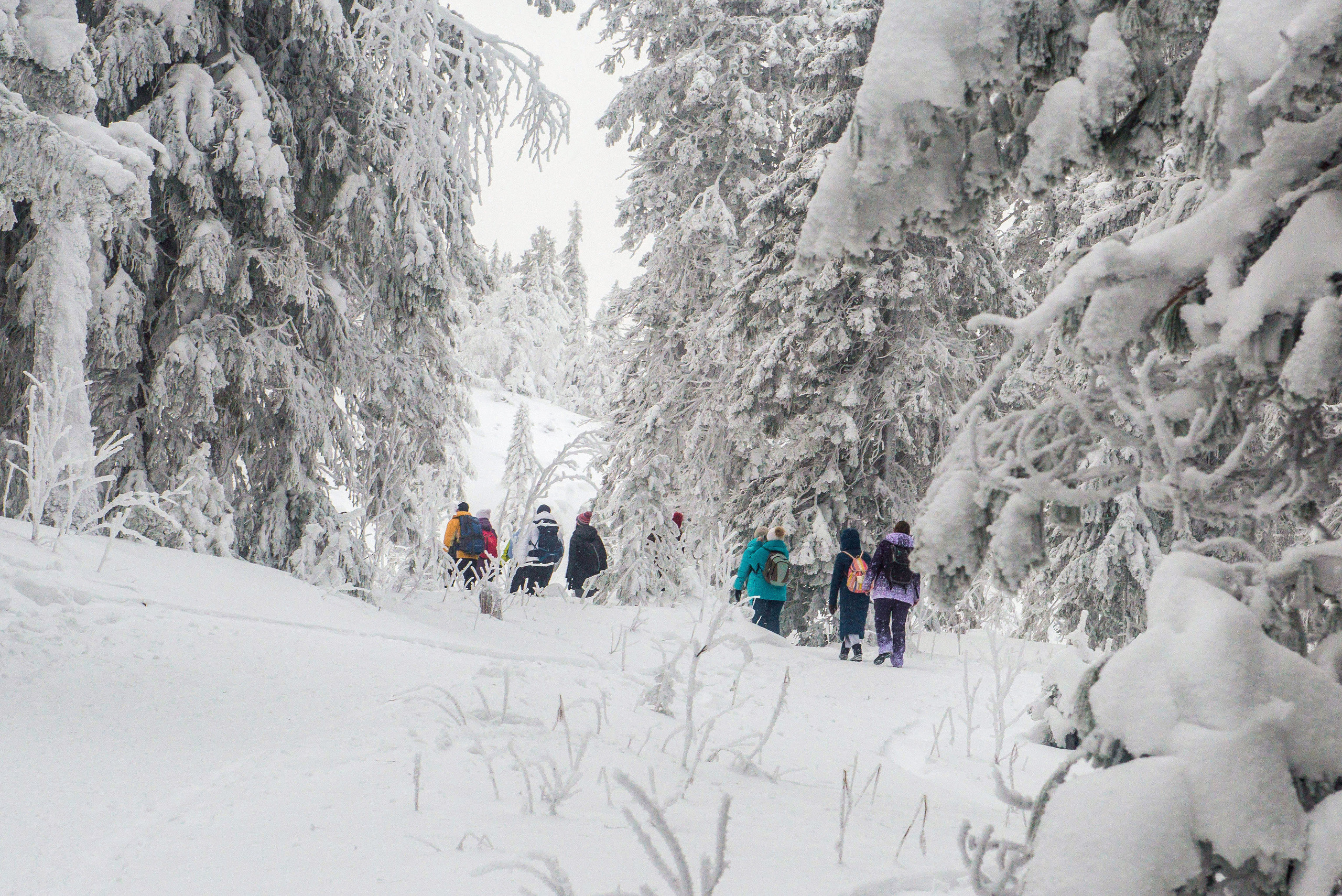 Качканар 06.01.2020. Свадебный фотограф на Урале Виктор Соколов